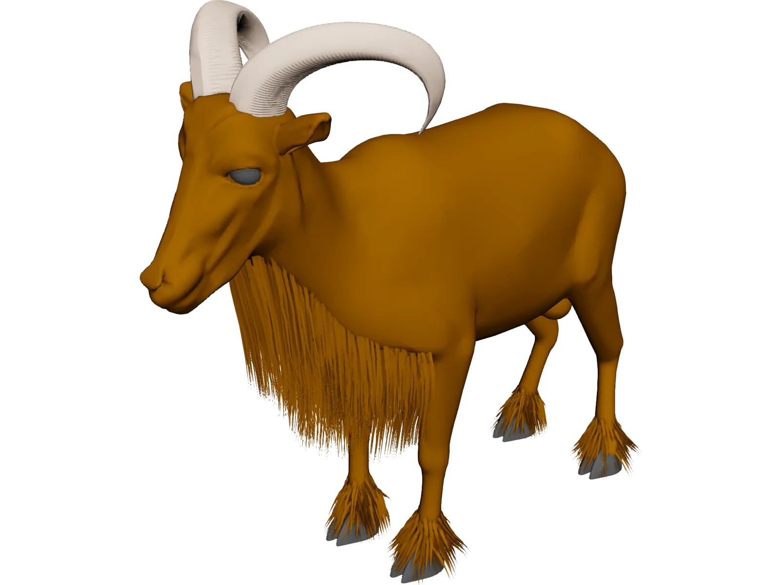 Arrui 3D Model main preview