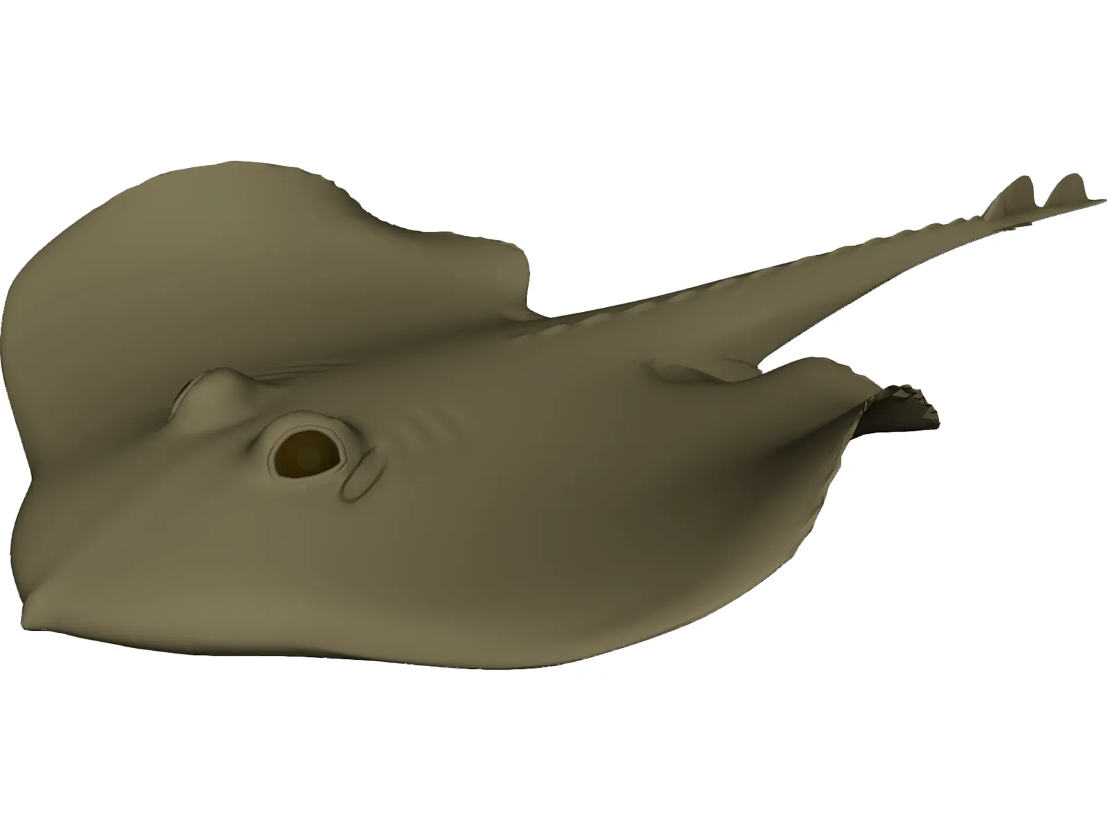 Devilfish 3D Model main preview