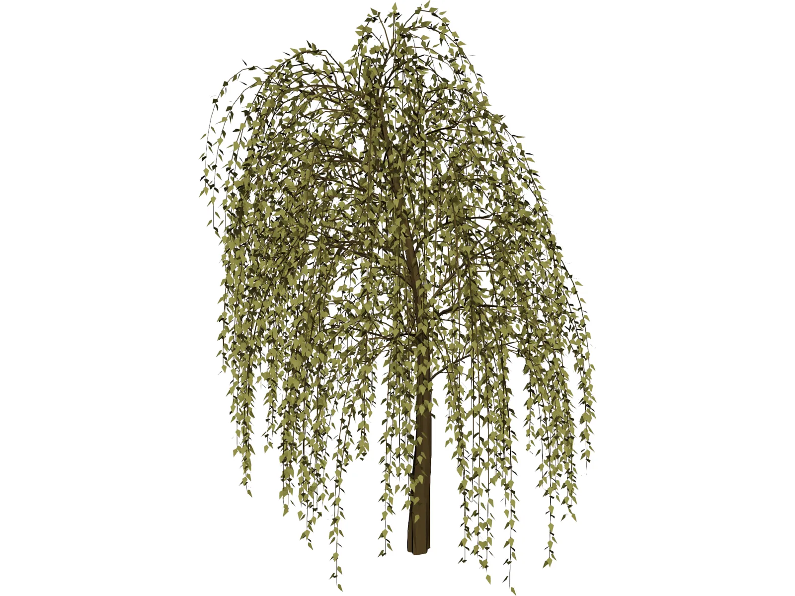Willow Tree 3D Model main preview