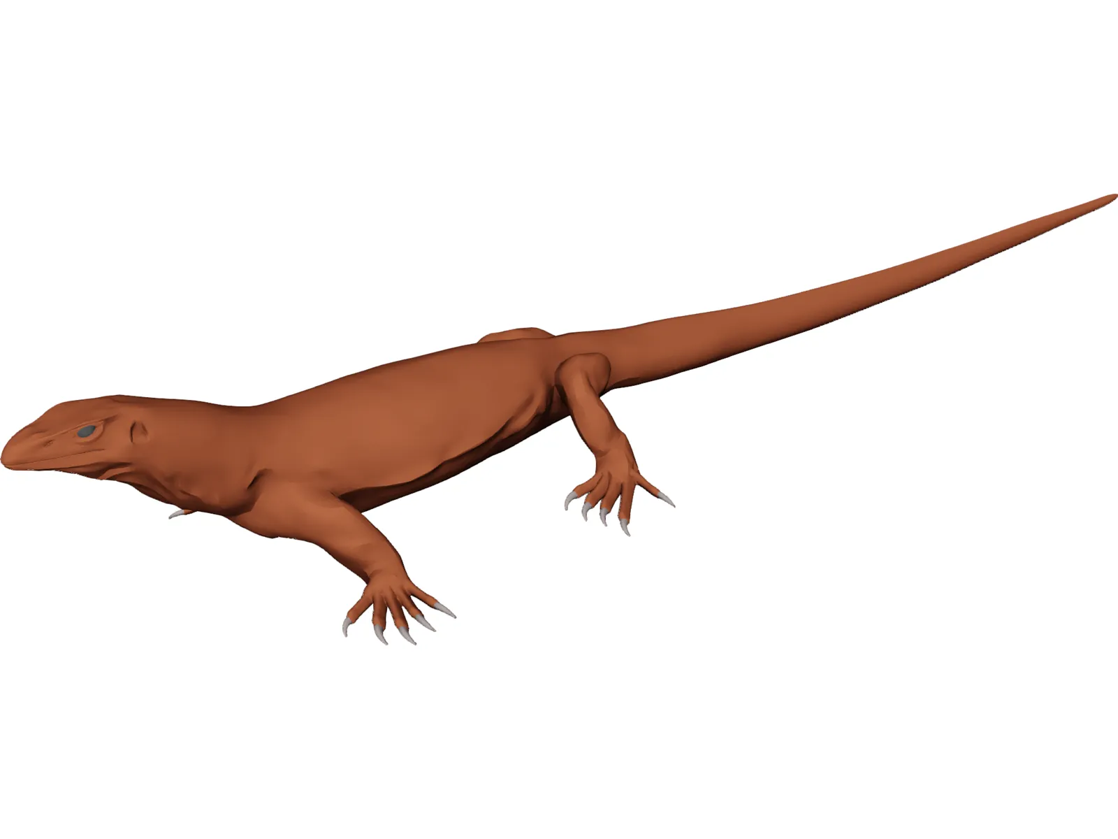 Lizard 3D Model main preview