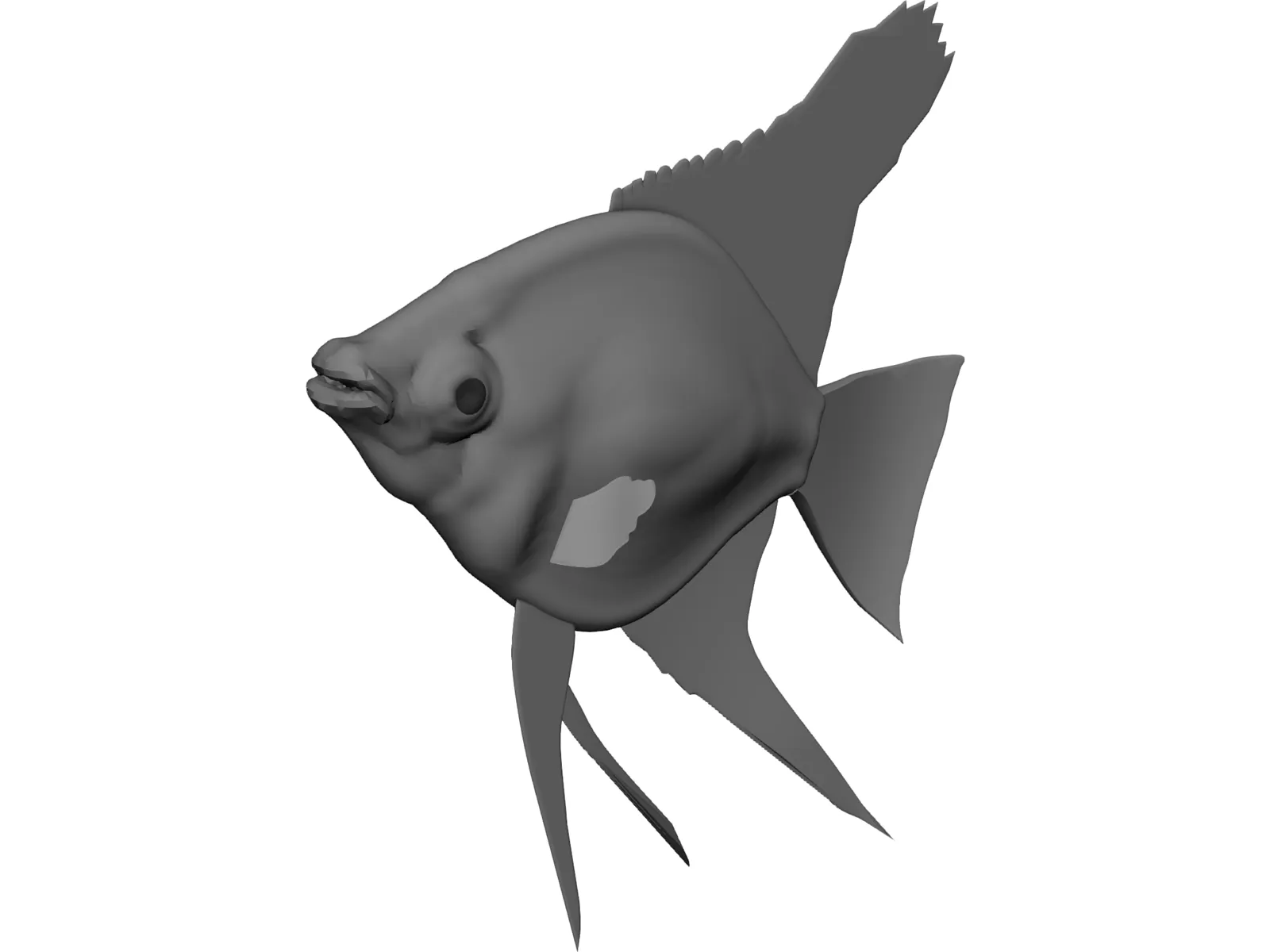 Pterophyum Scalare 3D Model main preview