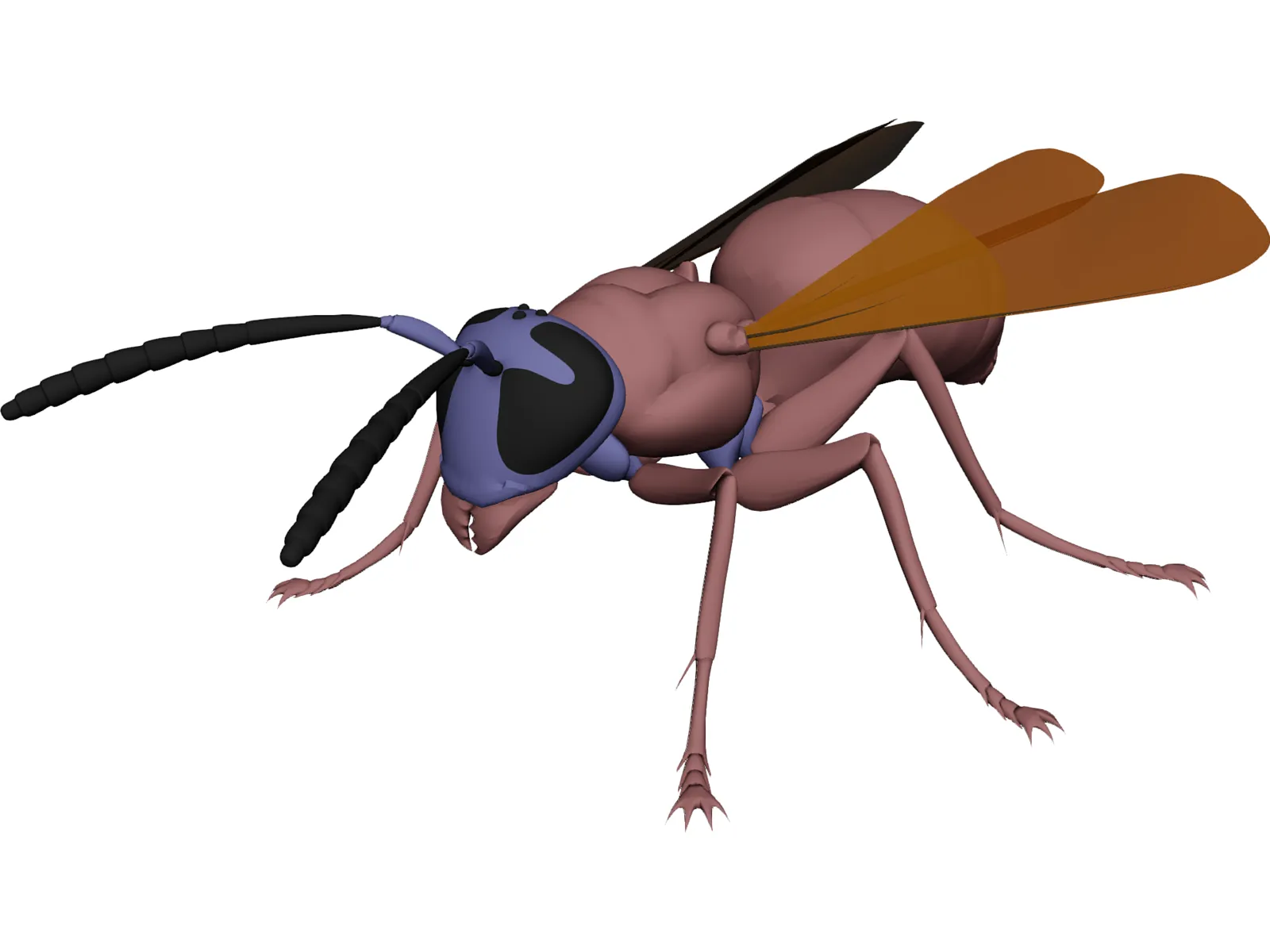 Wasp 3D Model main preview