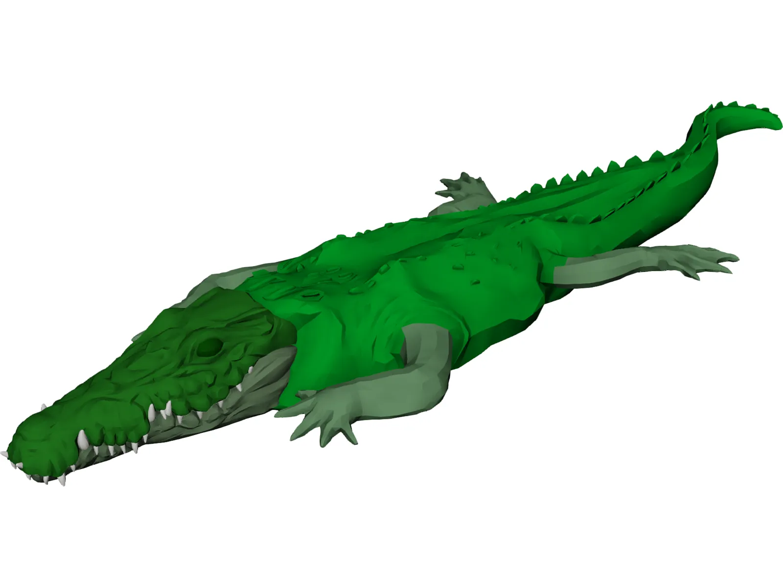 Crocodile 3D Model main preview