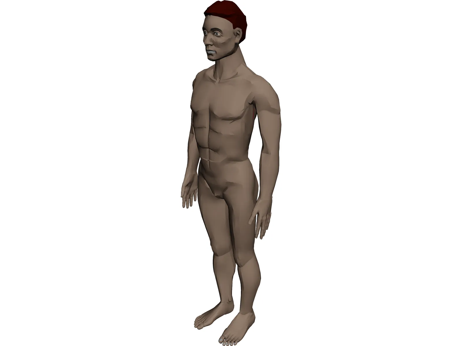 Man with Internal Organs 3D Model main preview