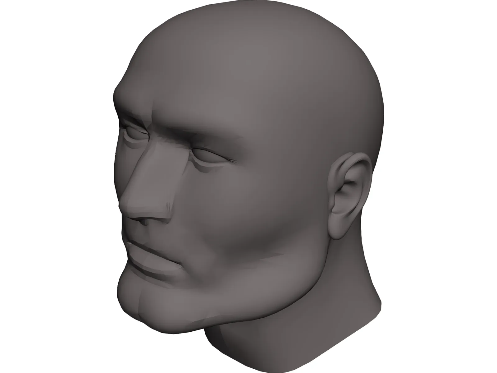 Head Male 3D Model main preview