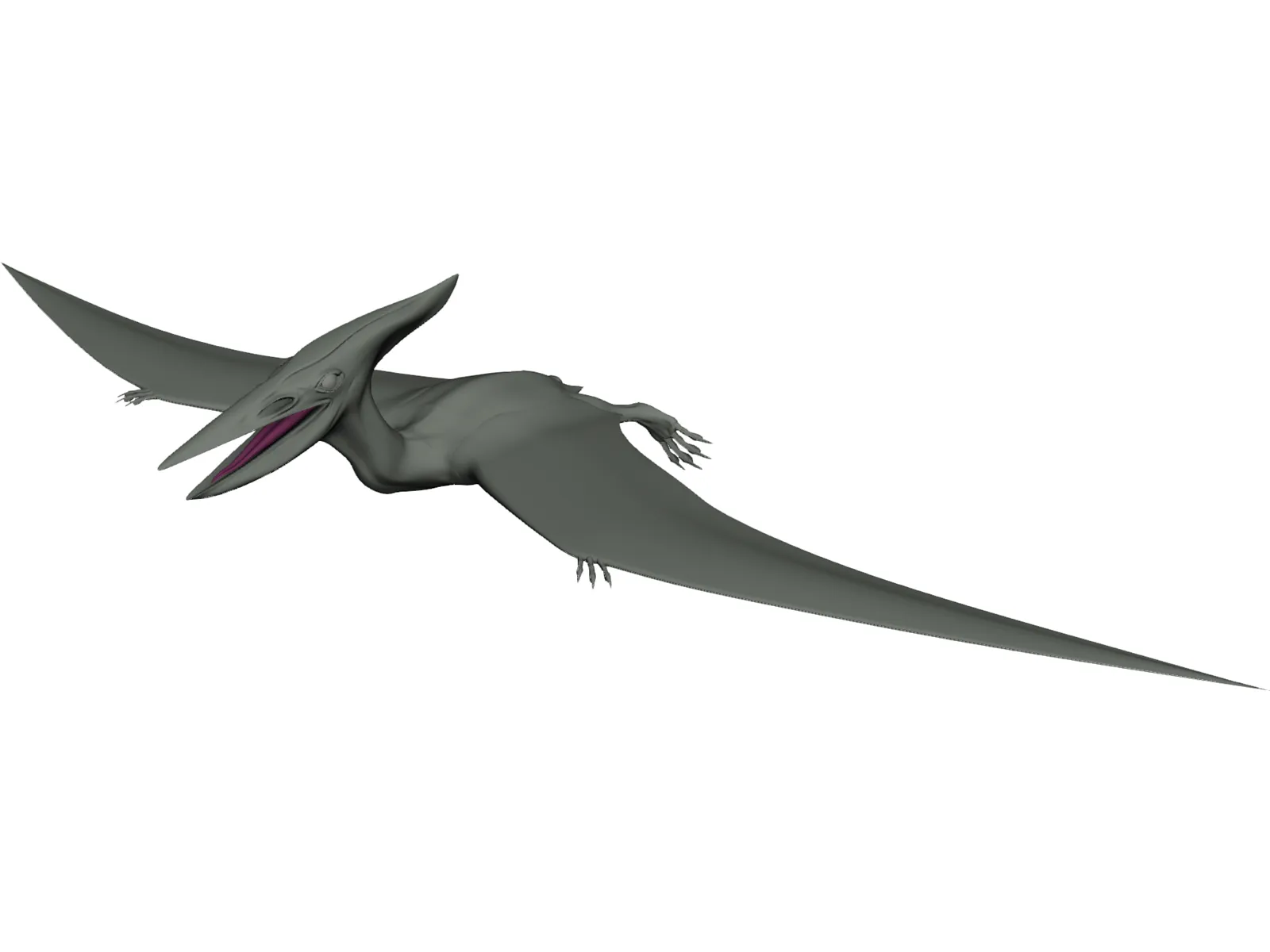 Pterodactyl 3D Model main preview