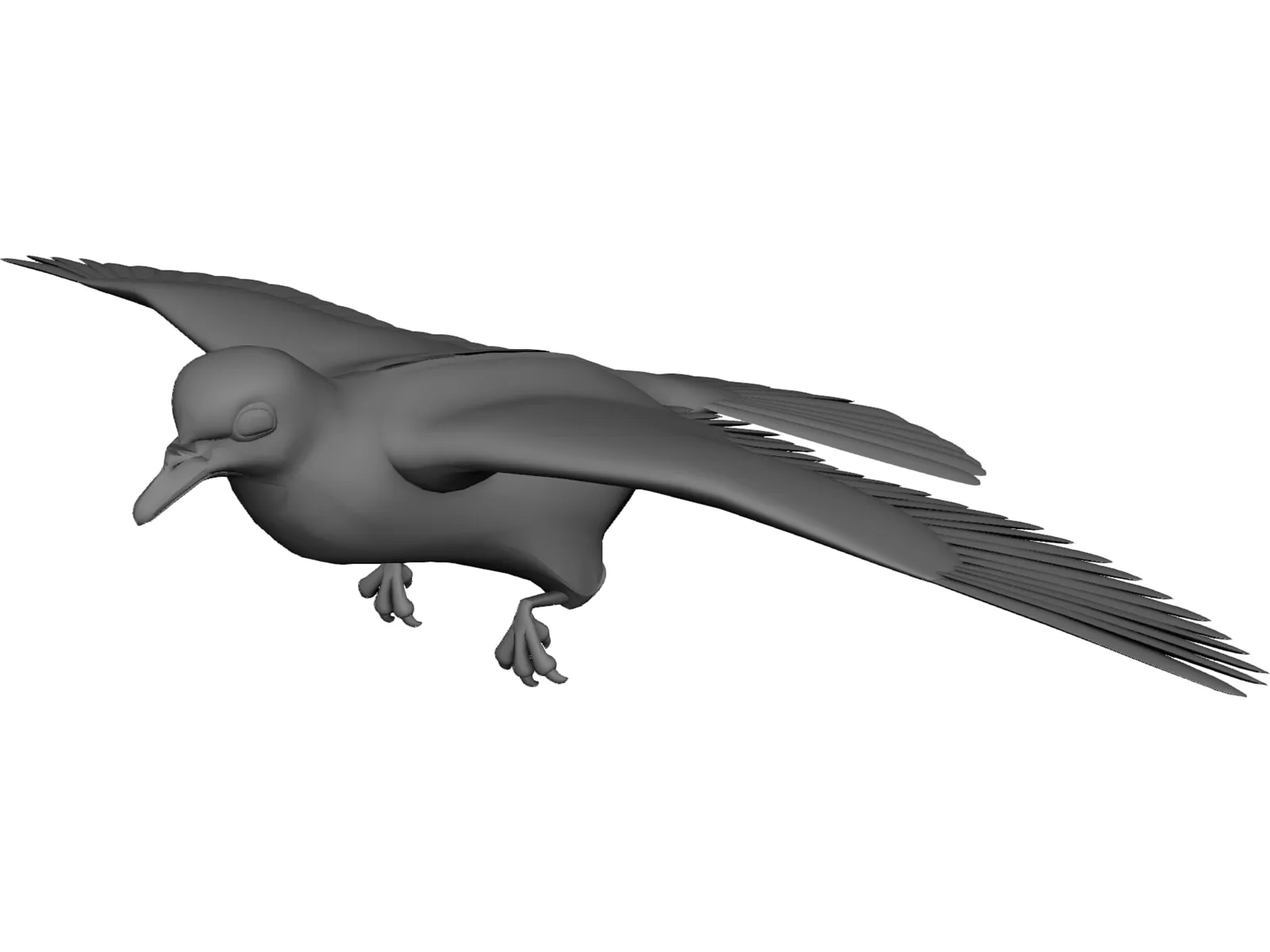 Dove 3D Model main preview
