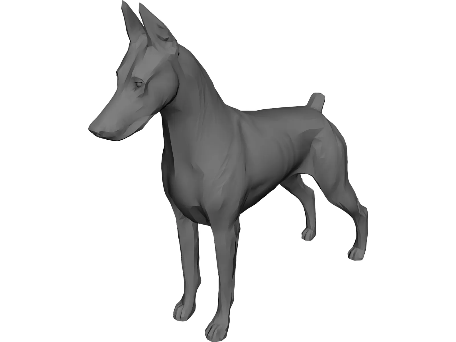 Dog Doberman 3D Model main preview