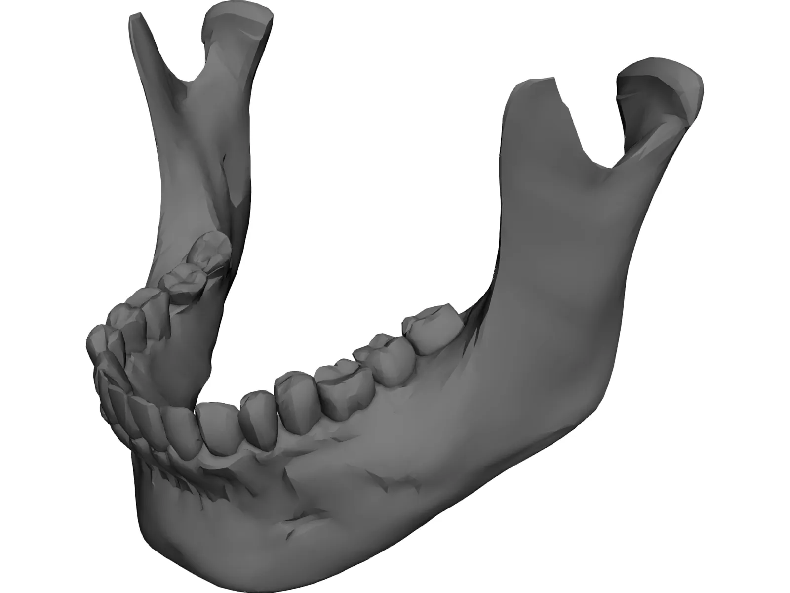 Jaw Lower 3D Model main preview
