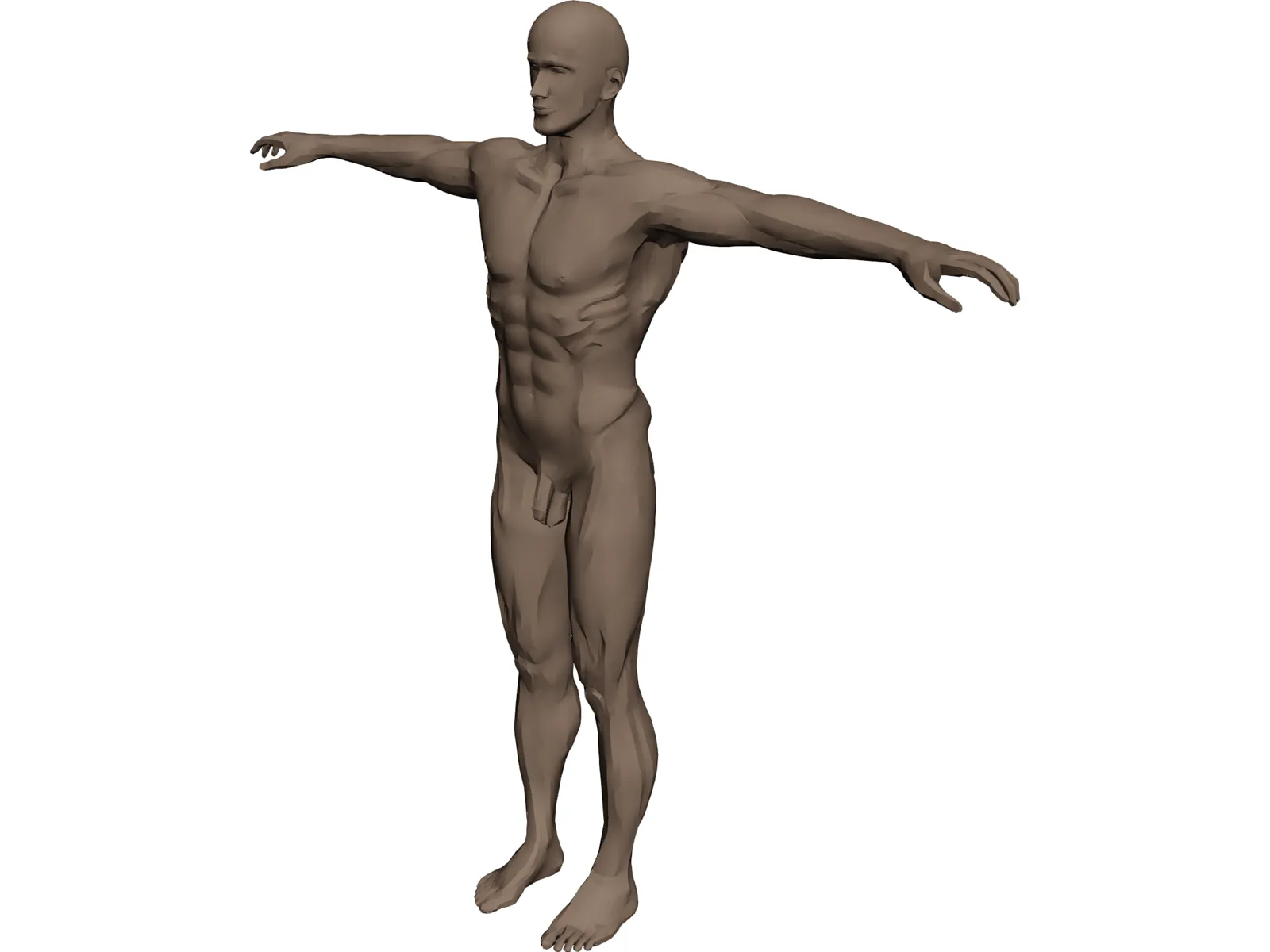 Man 3D Model main preview