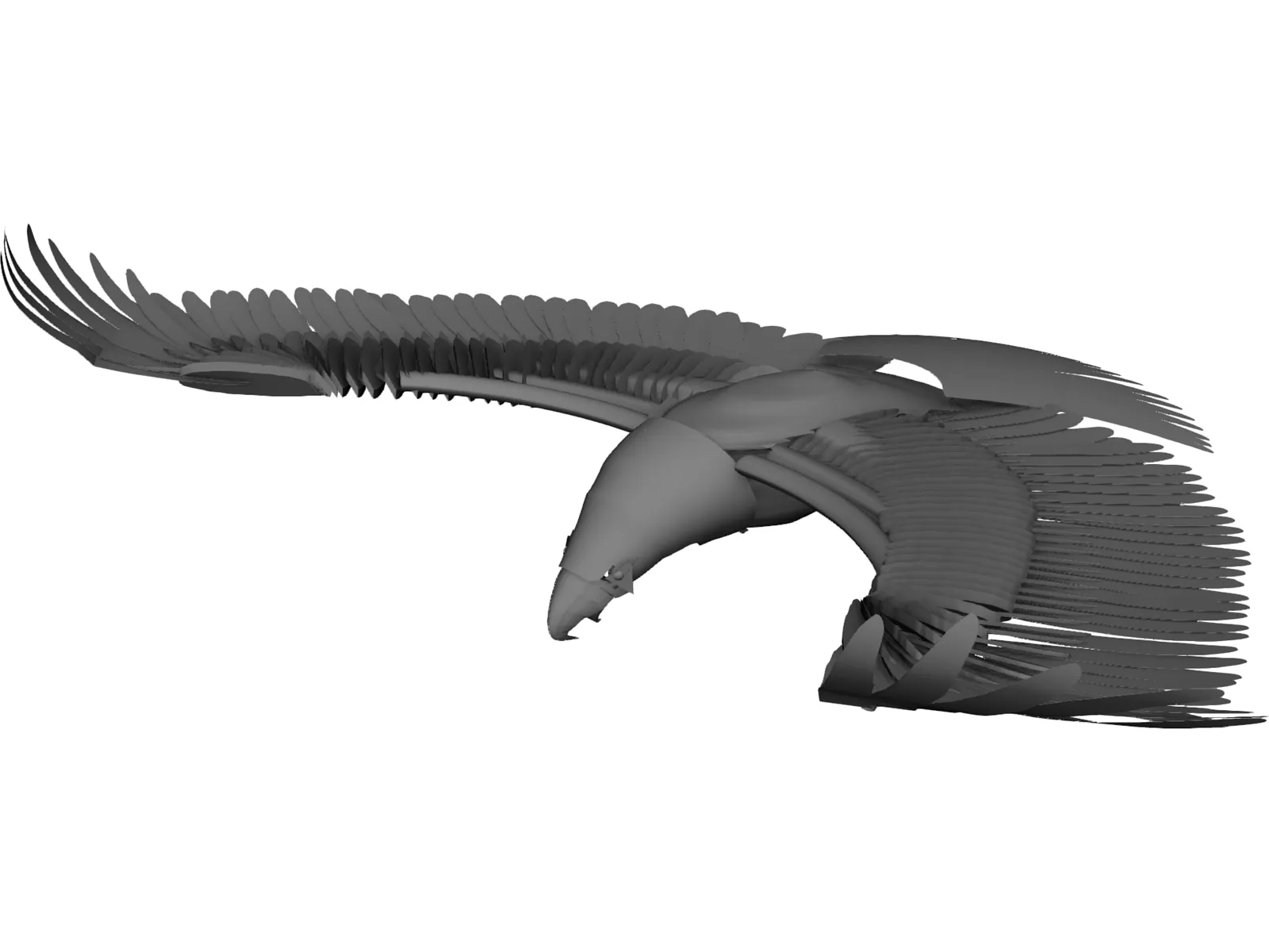 Eagle 3D Model main preview