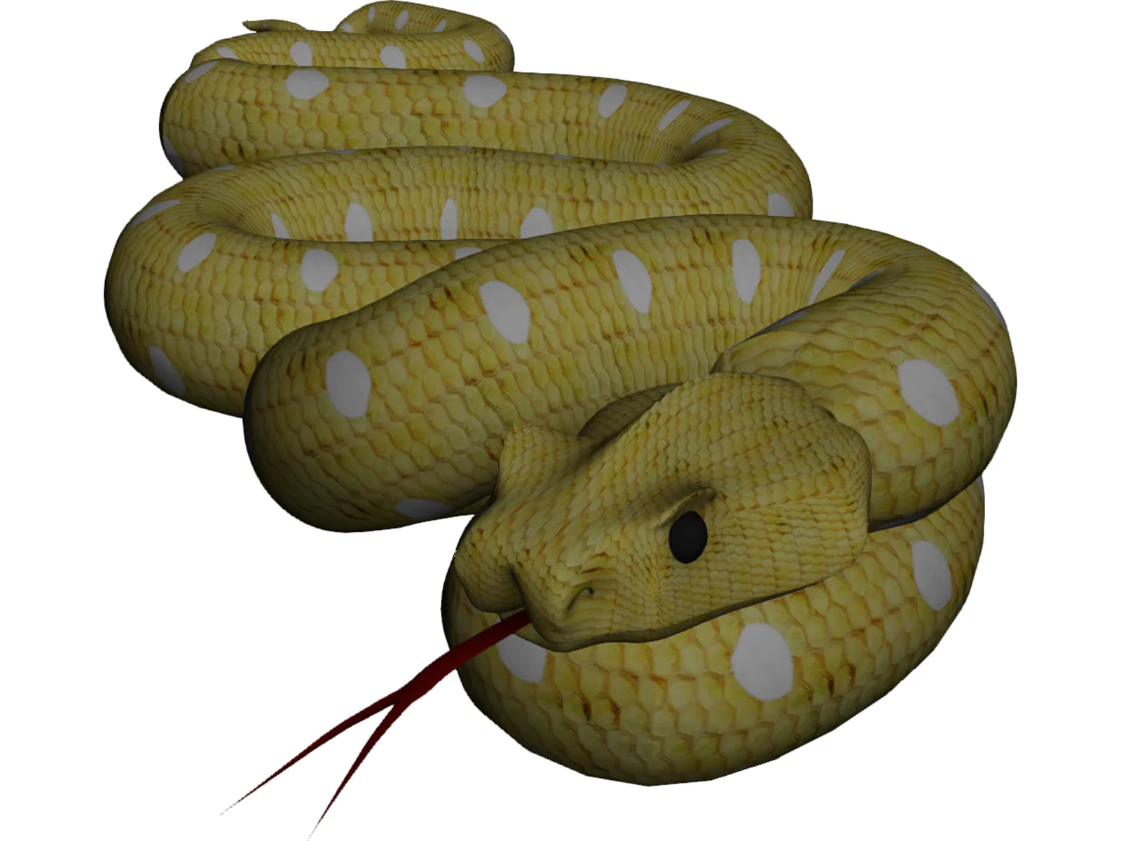 Python 3D Model main preview