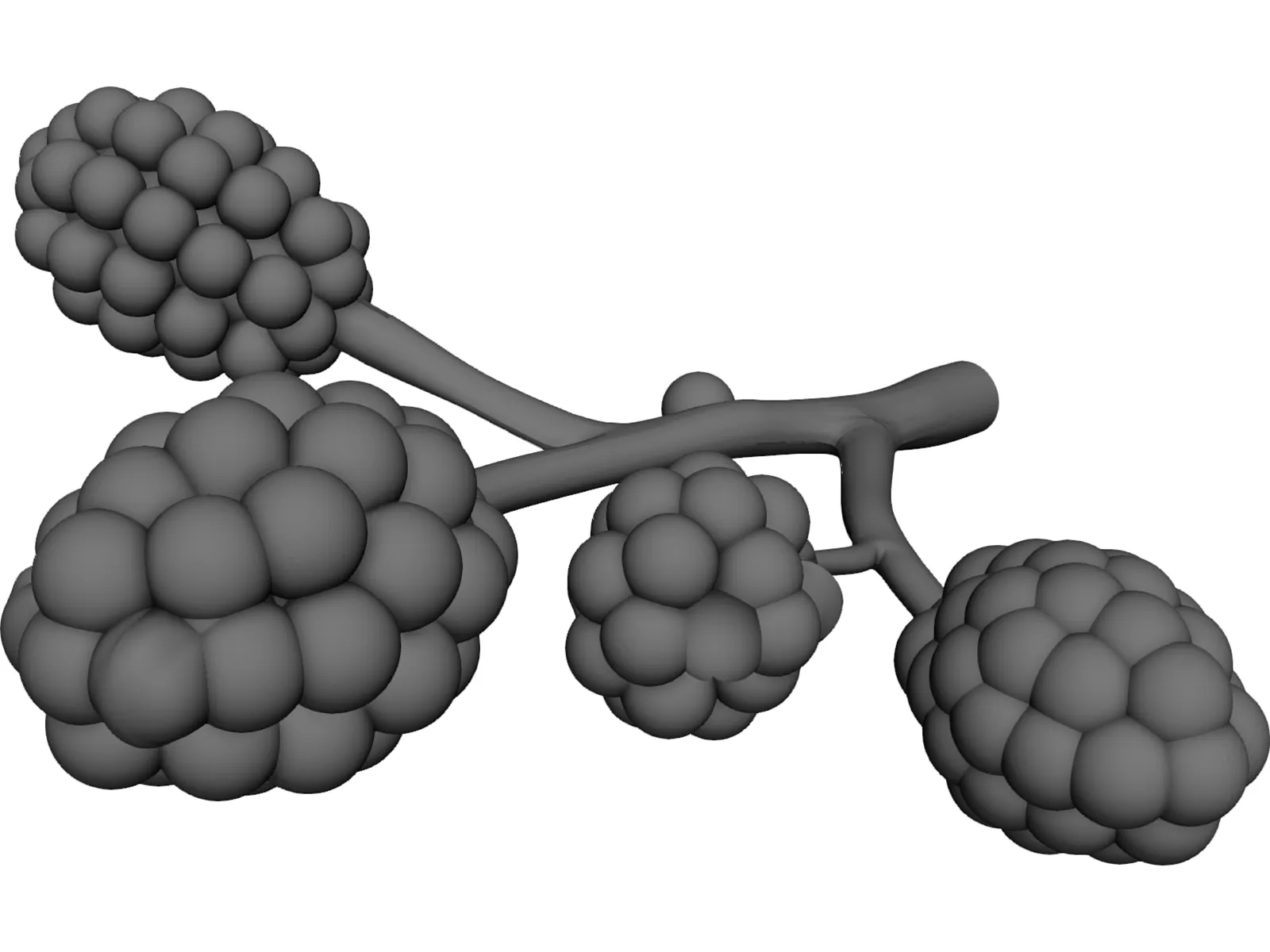 Alveoli 3D Model main preview