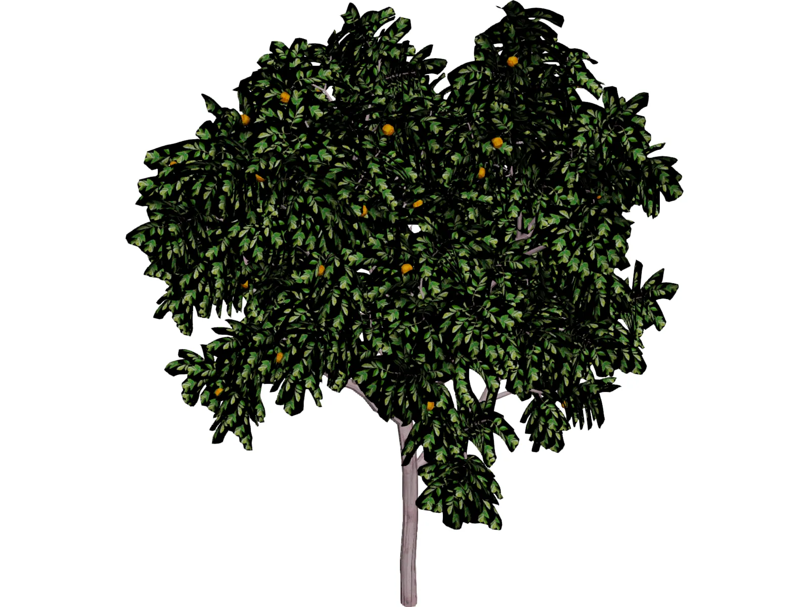Zitronenbaum 3D Model main preview