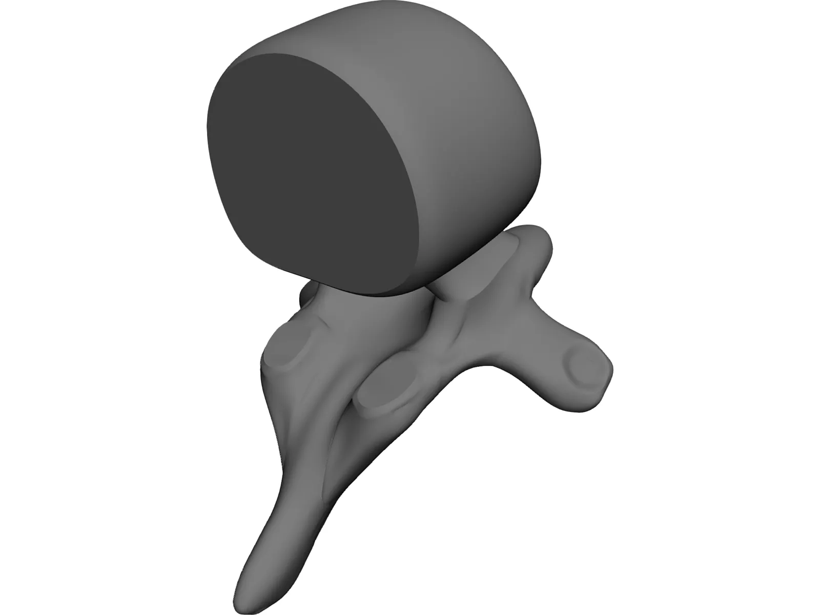 Spine 3D Model main preview