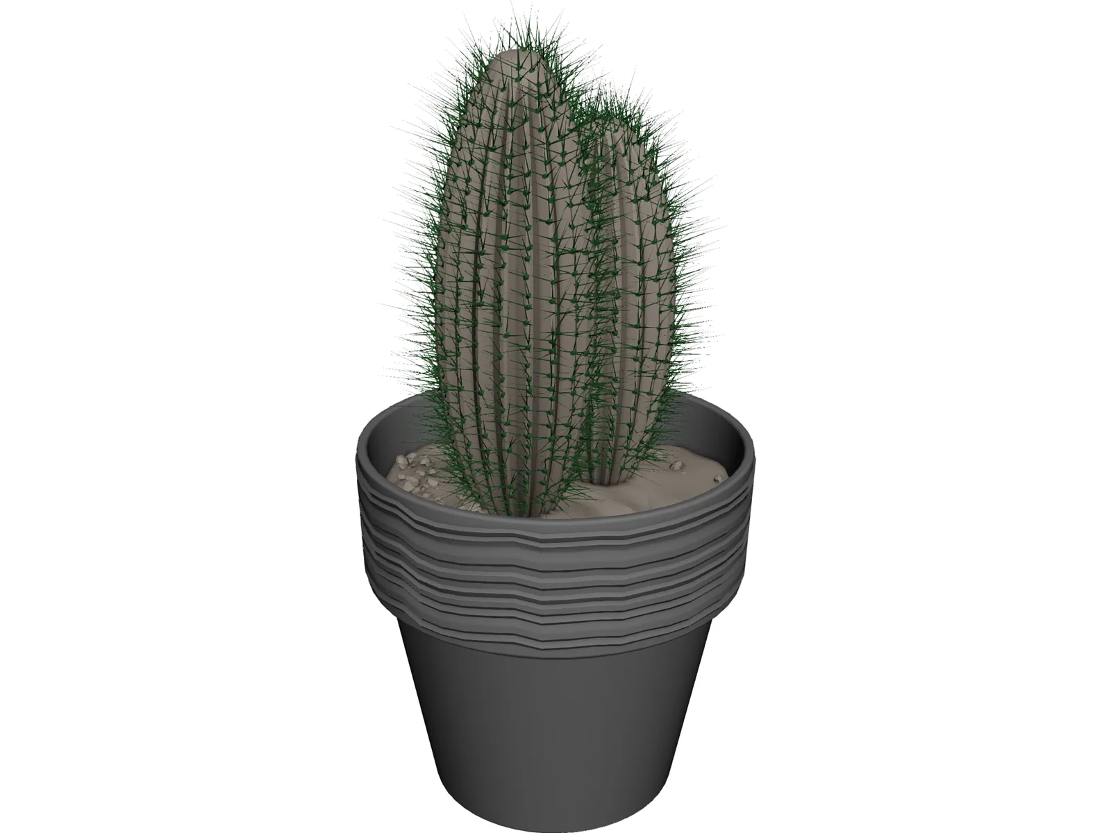 Cactus 3D Model main preview