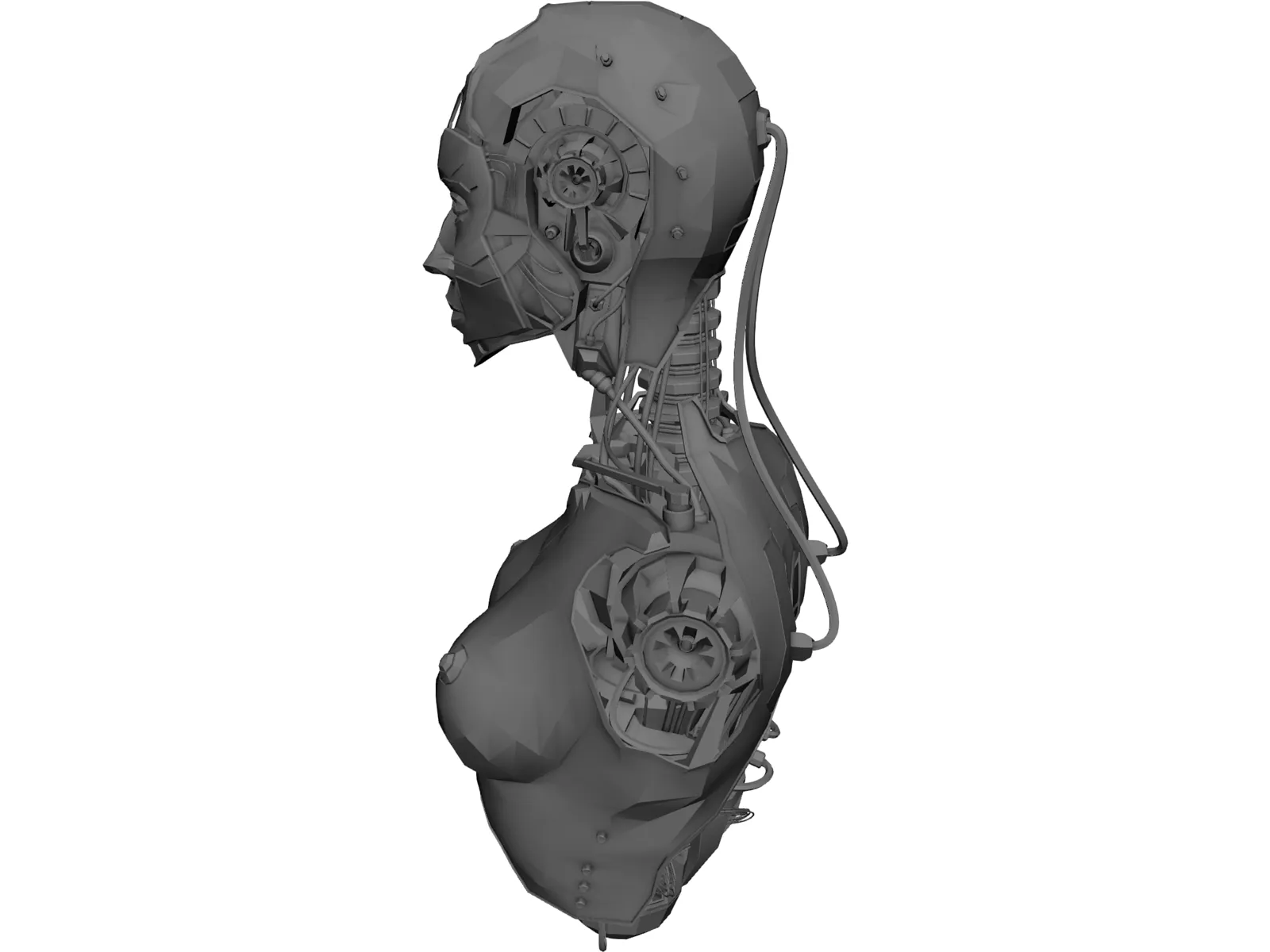 Robotic Girl 3D Model main preview