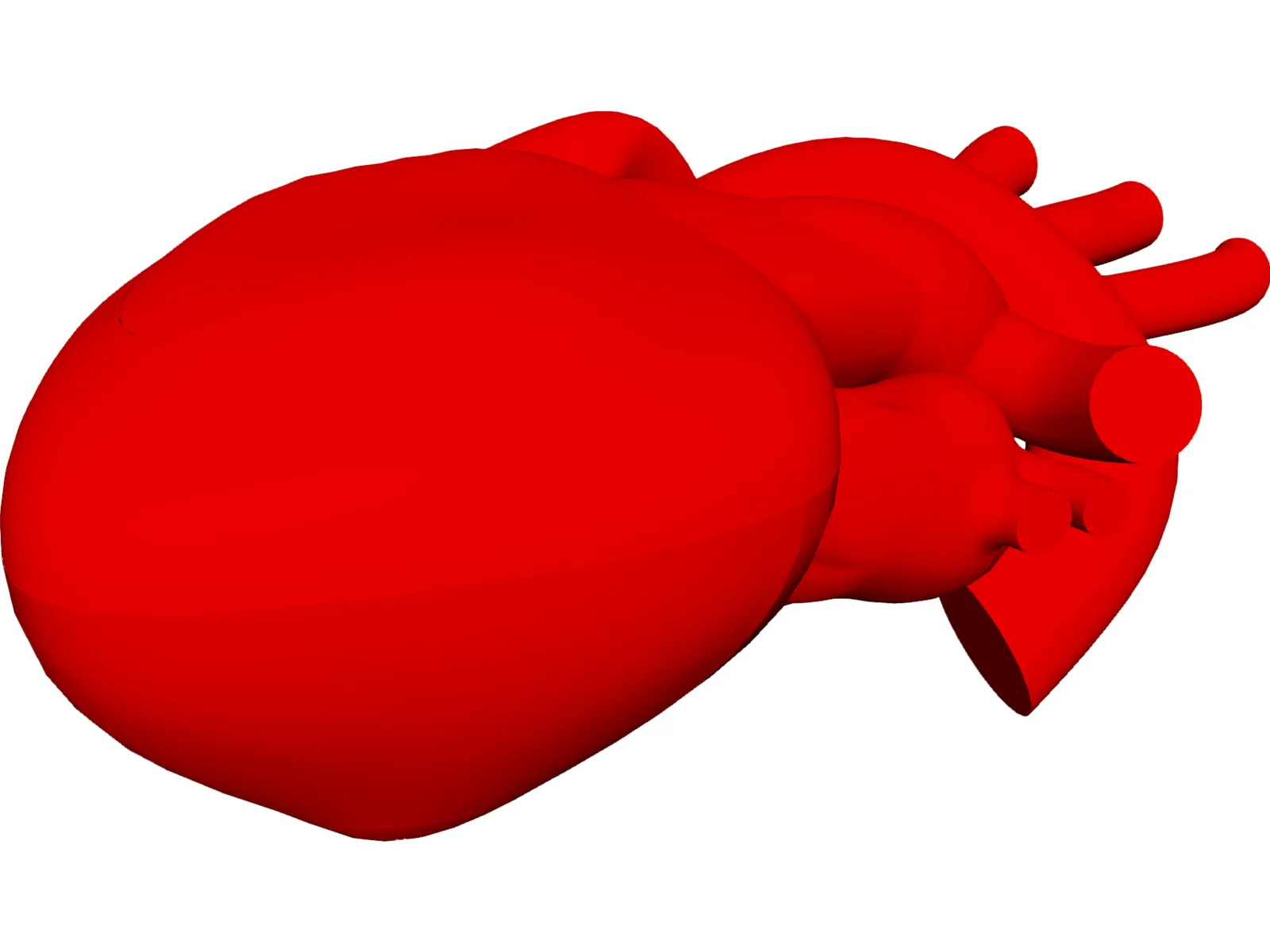 Heart Human 3D Model main preview