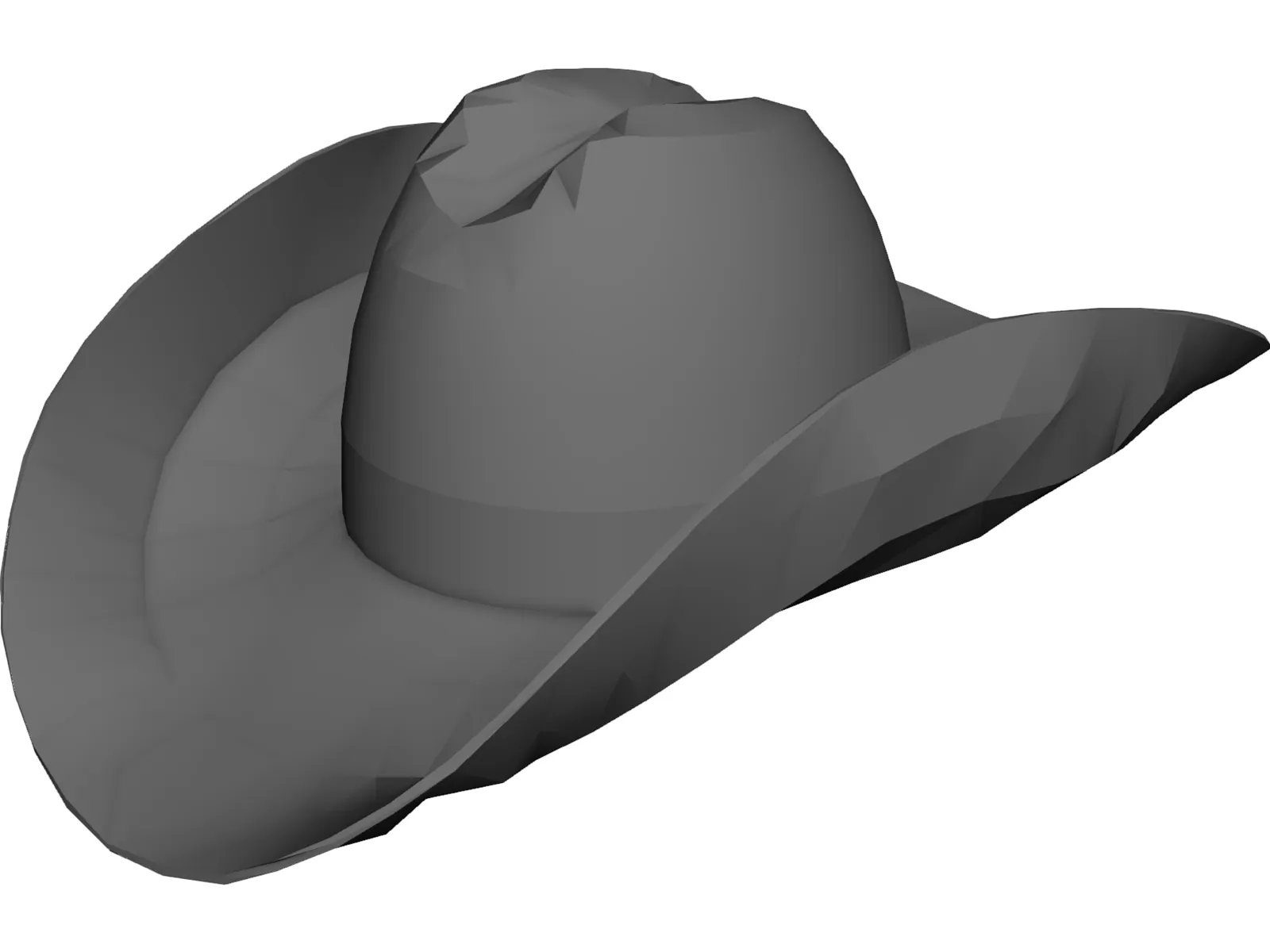 Cowboy Hat 3D Model main preview