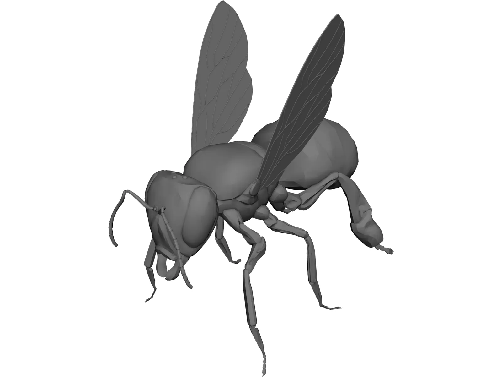 Bee 3D Model main preview