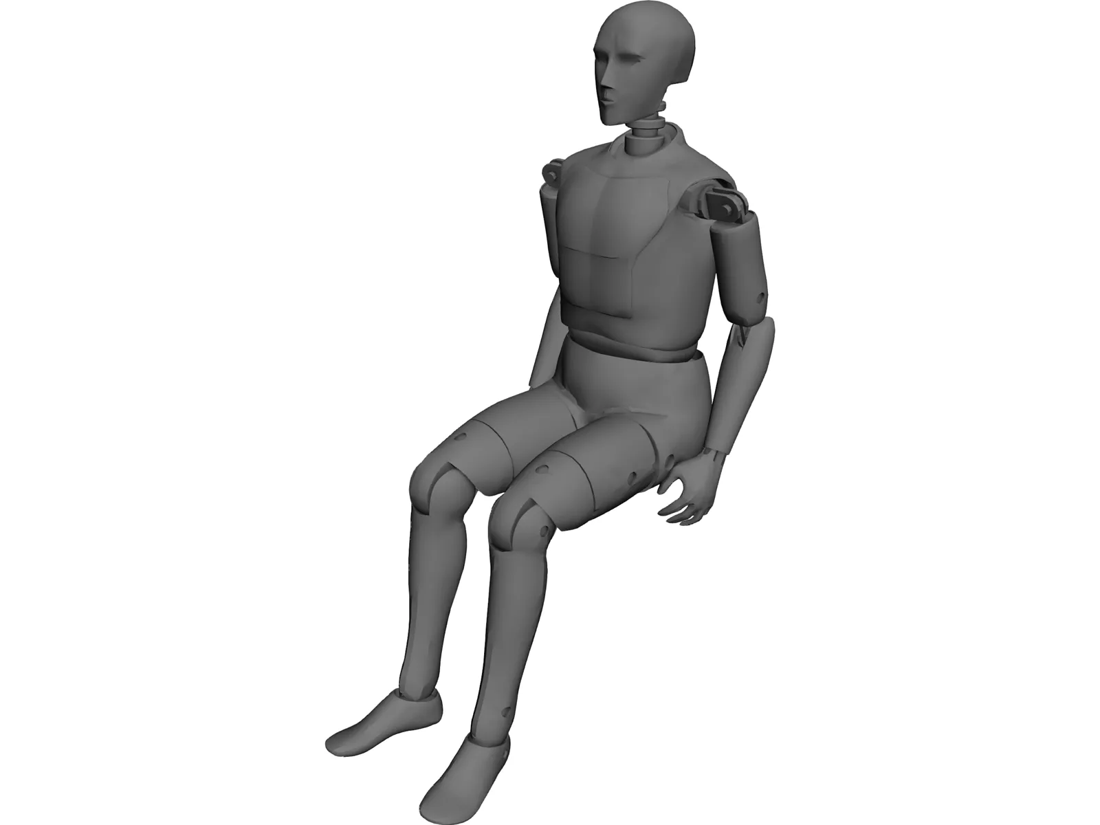 Crash Dummy 3D Model main preview