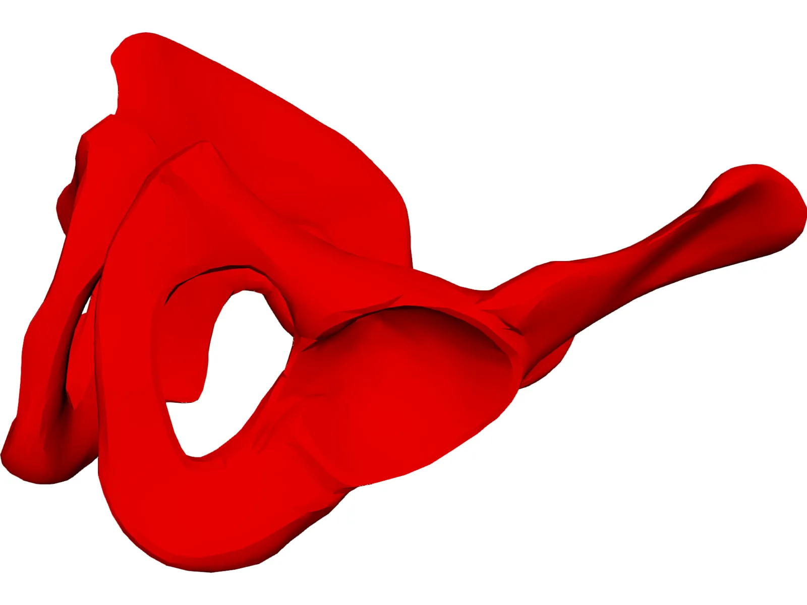 Pelvis Male 3D Model main preview