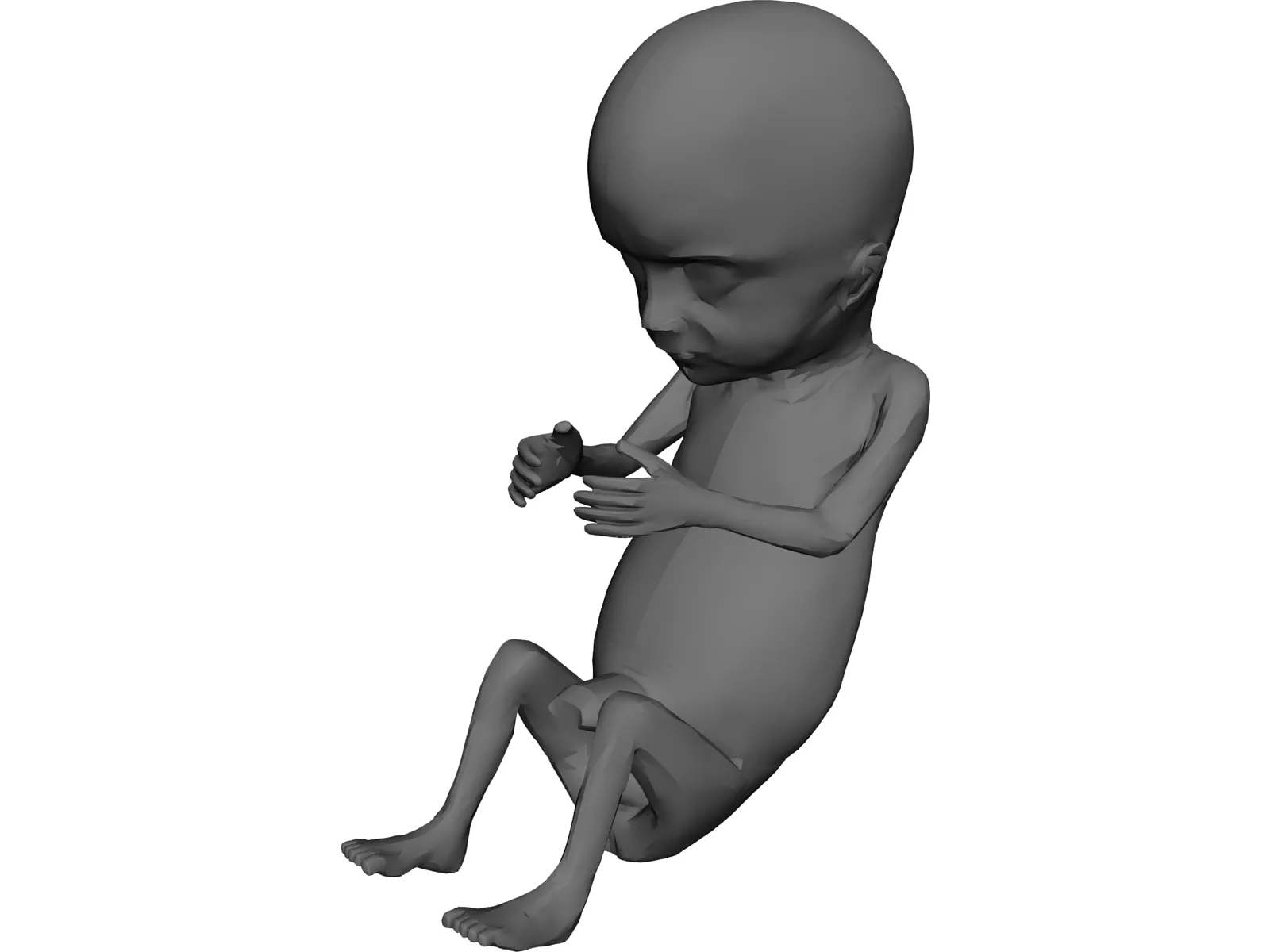 Fetus 12-Week 3D Model main preview