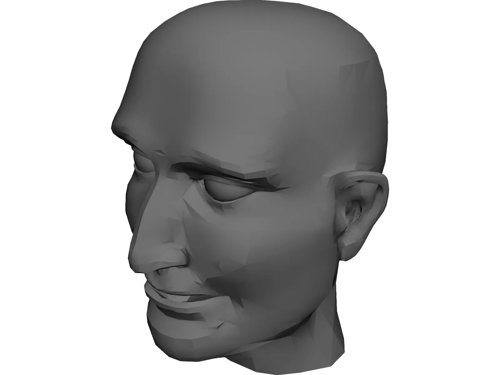 Head Male 3D Model main preview