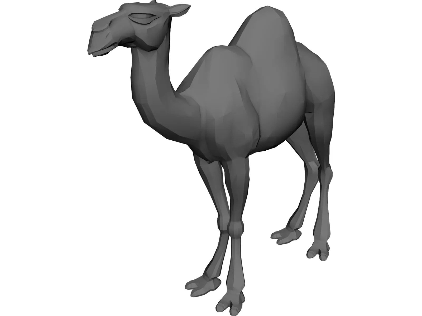 Camel 3D Model main preview