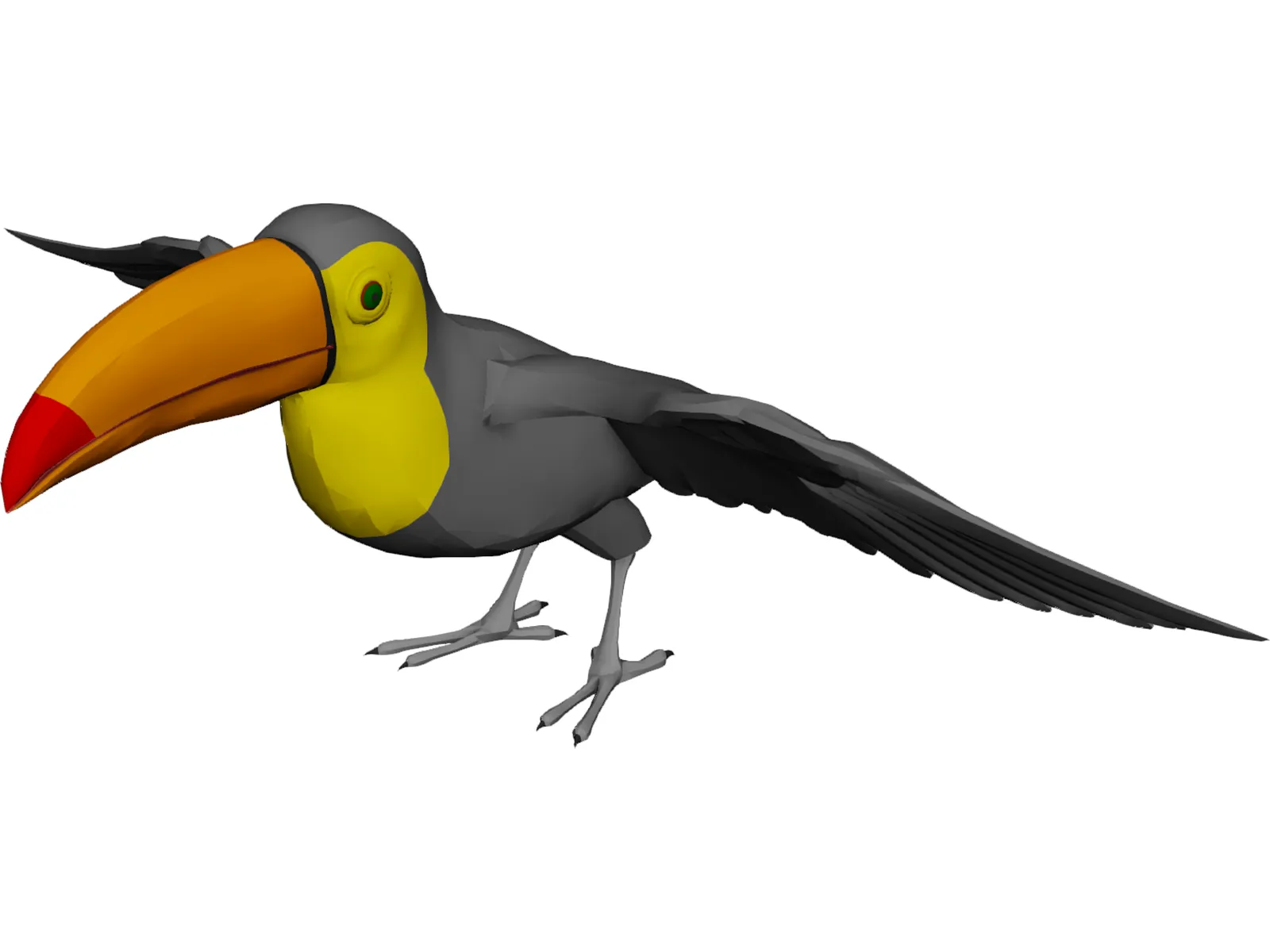Toucan 3D Model main preview