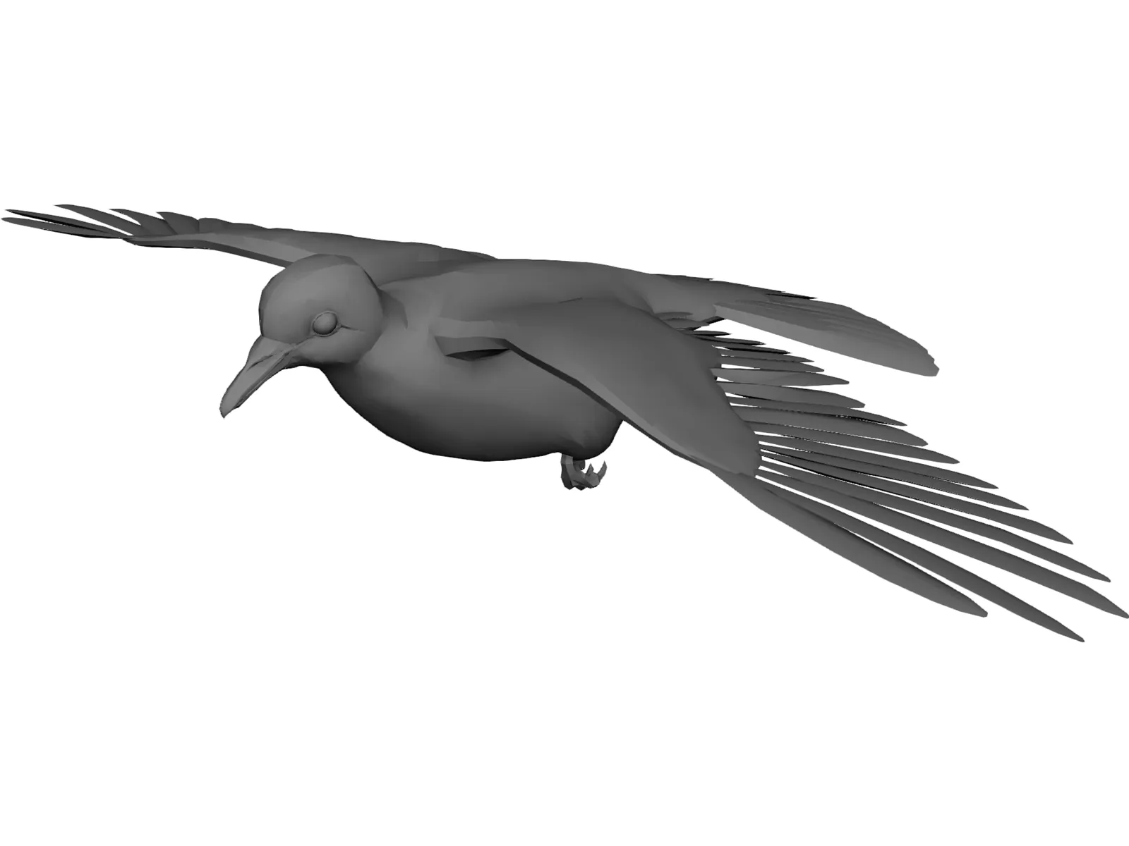 Dove 3D Model main preview