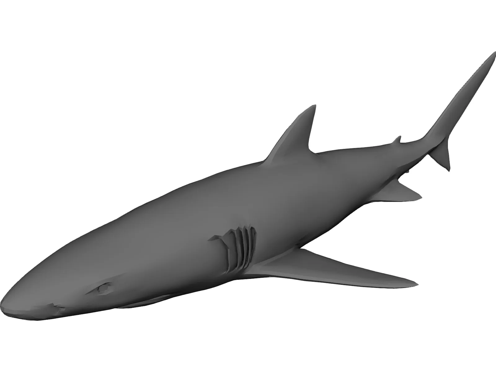 Blue Shark 3D Model main preview