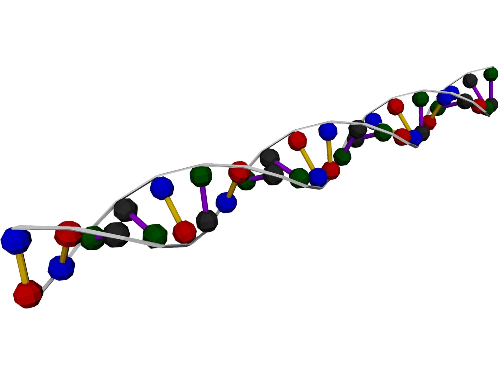 DNA Strand 3D Model main preview