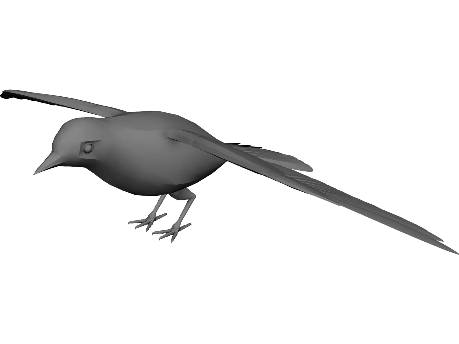 Dove Rock Pigeon 3D Model main preview