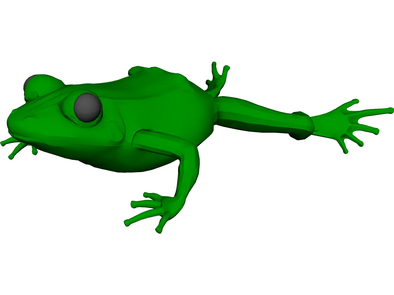 Frog 3D Model main preview