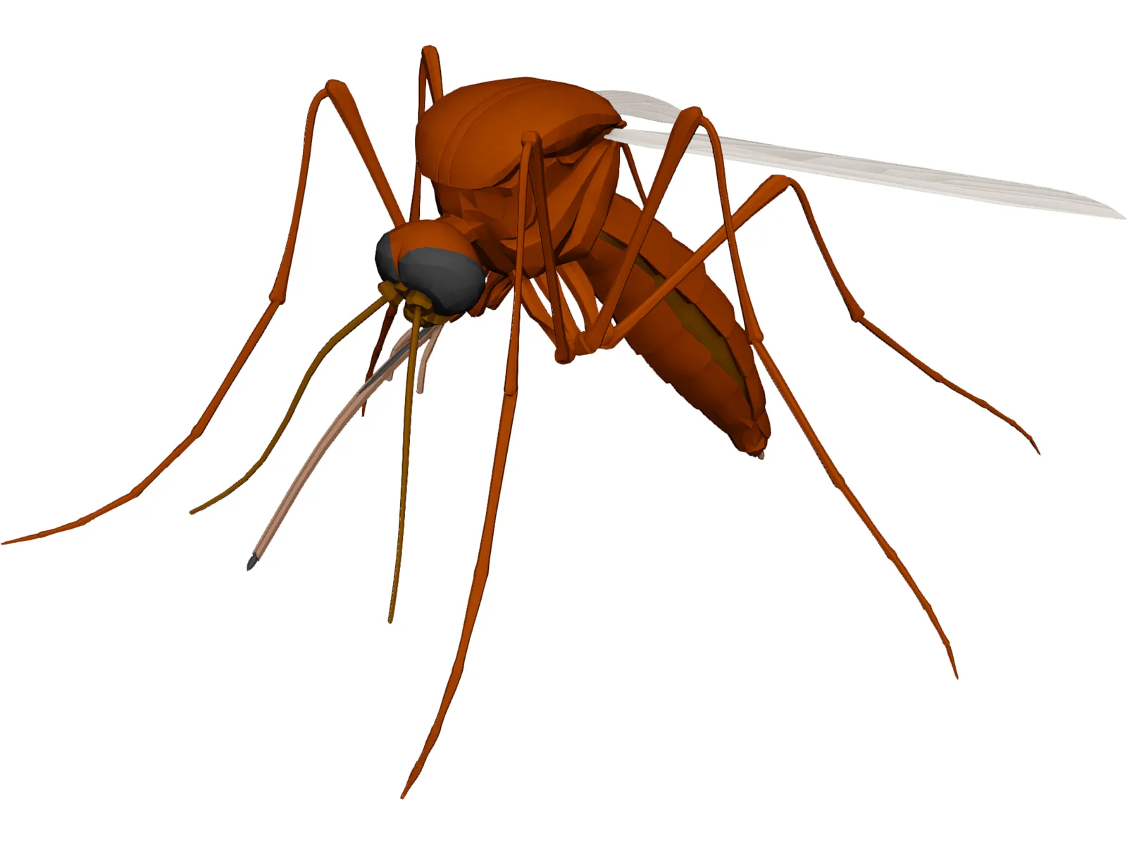 Mosquito 3D Model main preview