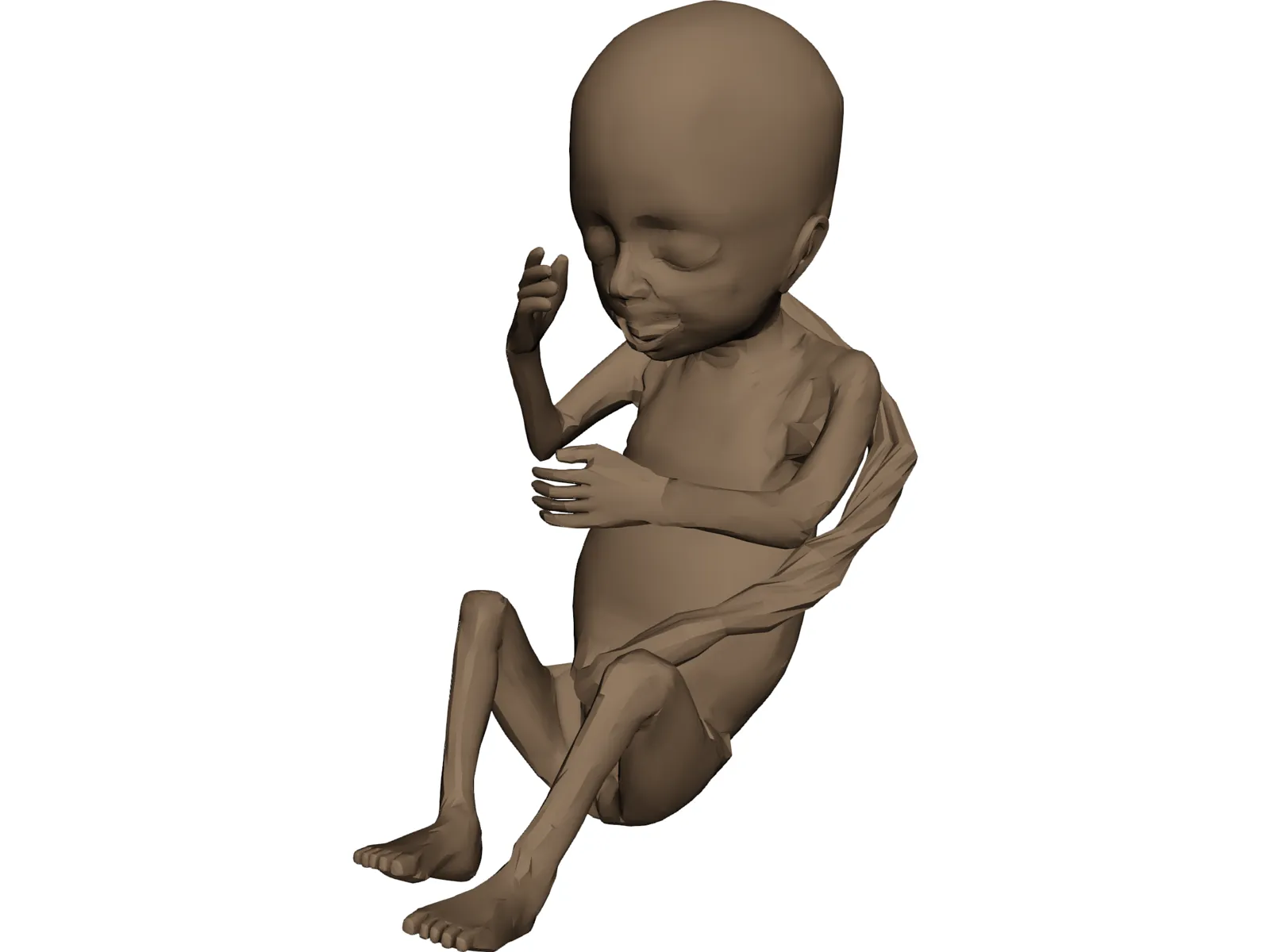 Fetus 3D Model main preview