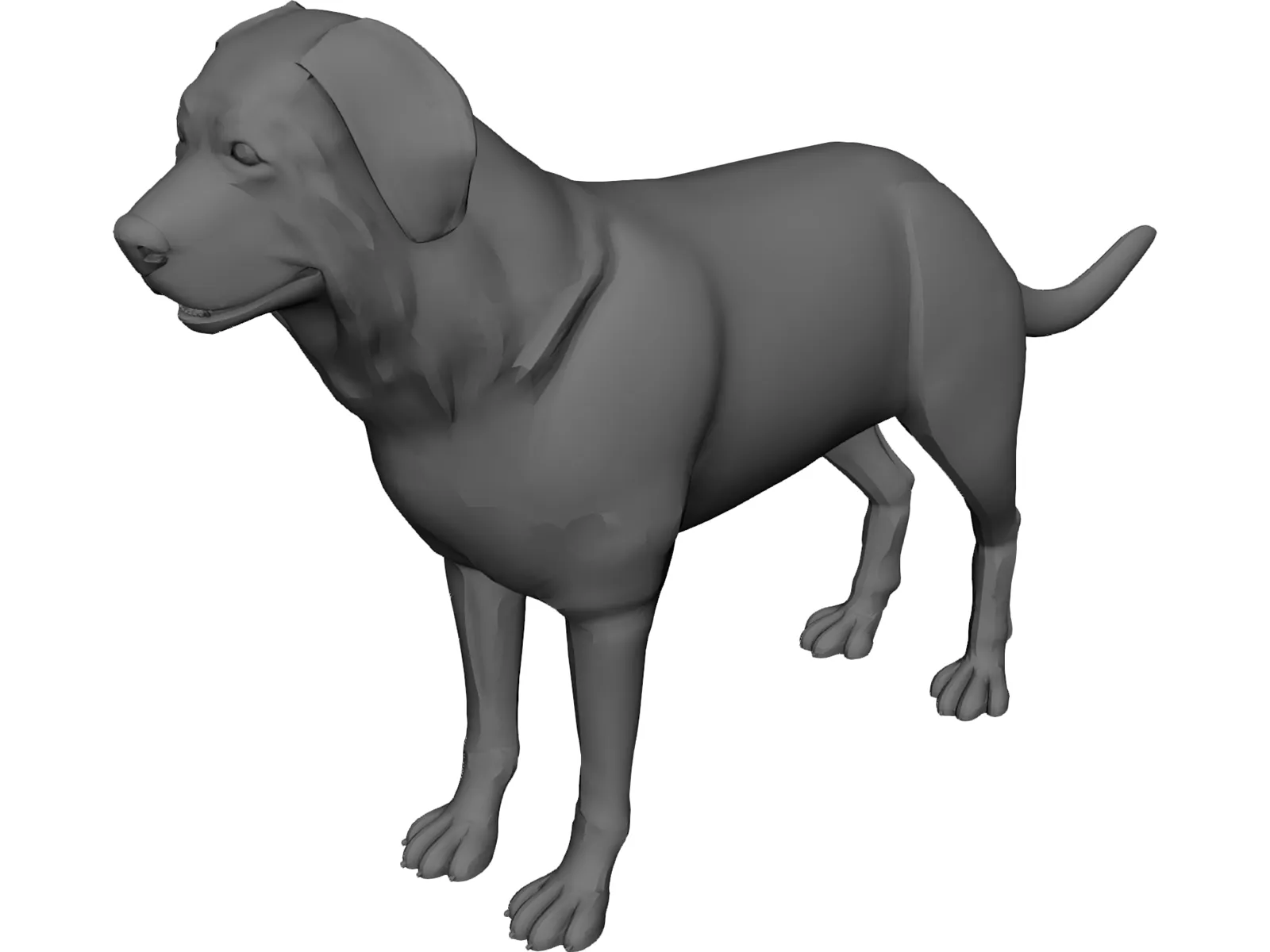 Dog 3D Model main preview