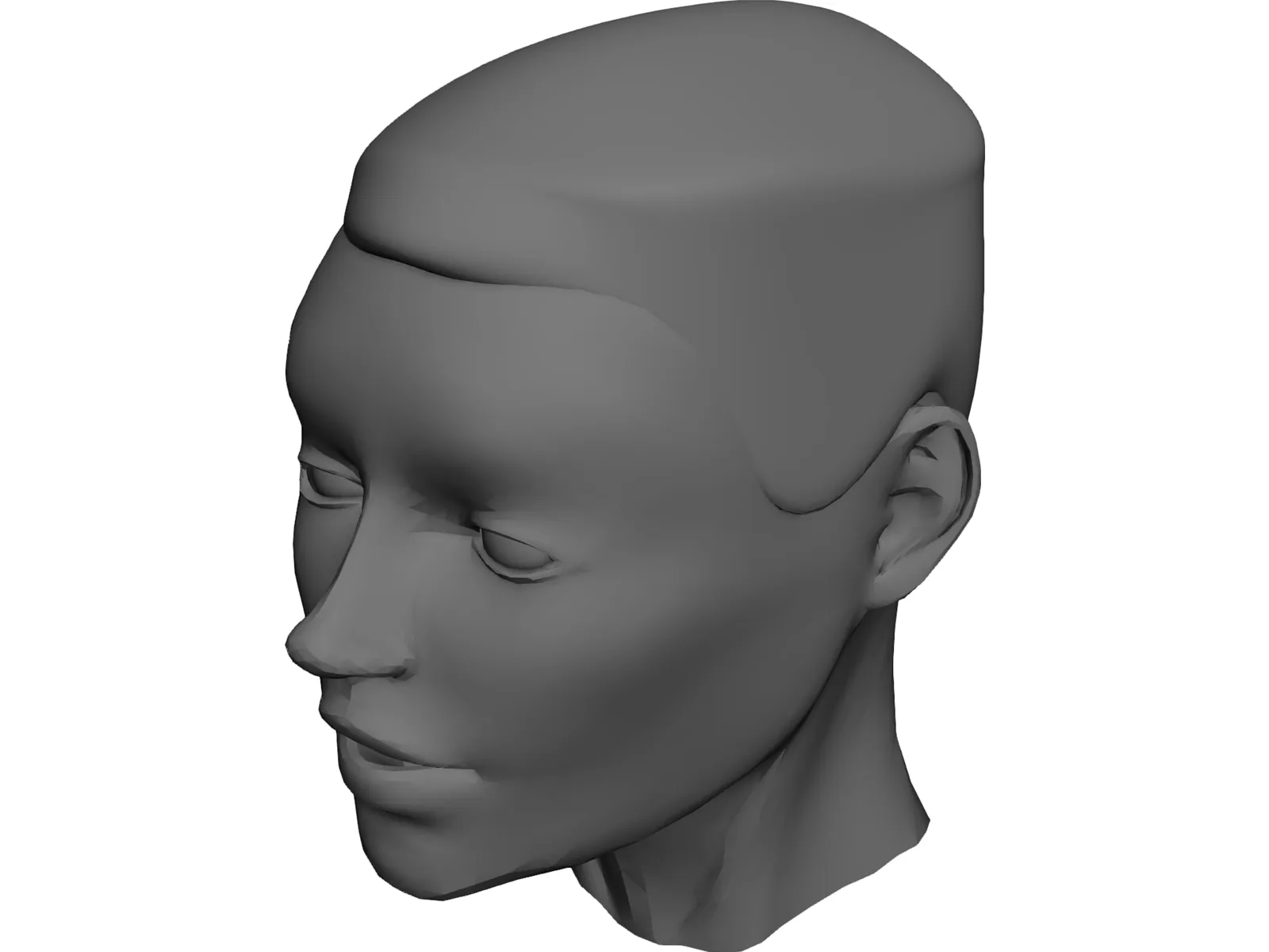 Head 3D Model main preview