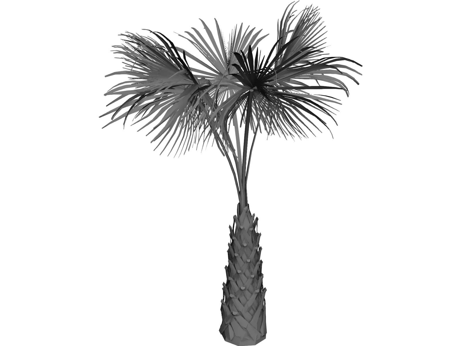 Sabal Palmetto Tree 3D Model main preview