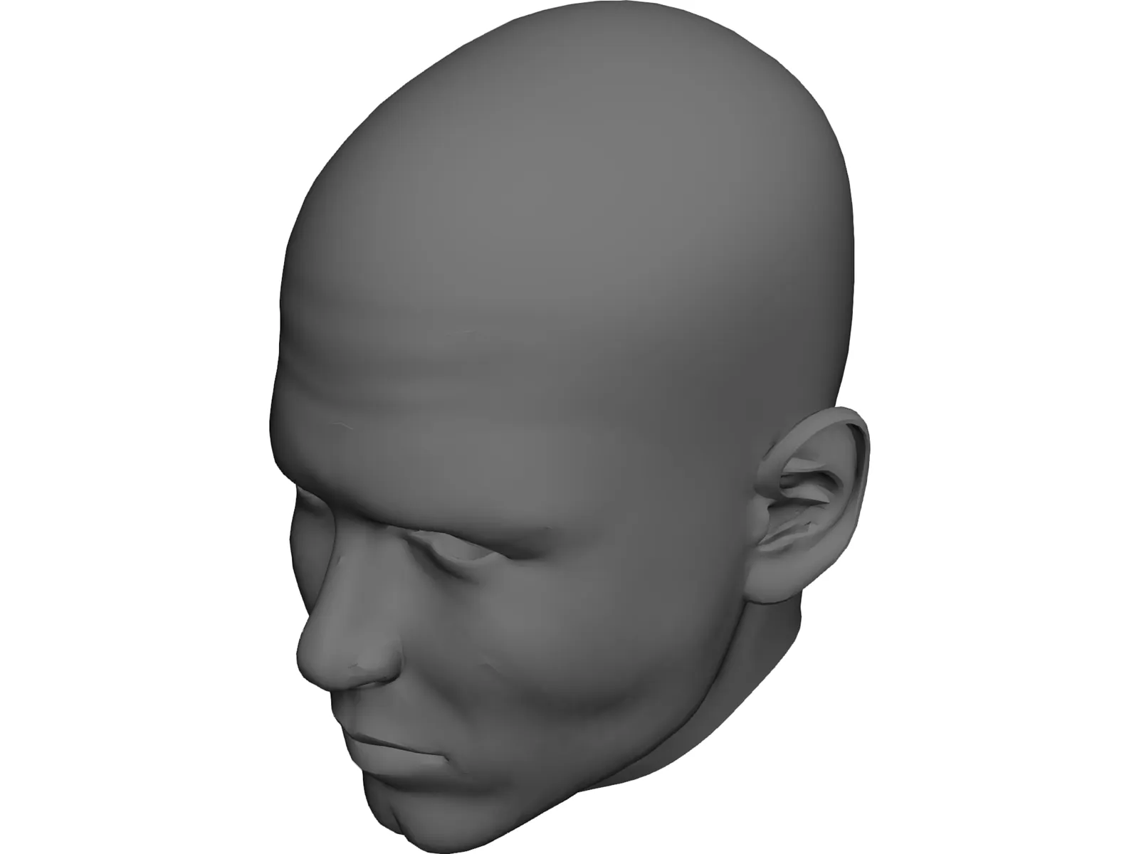 Man Head 3D Model main preview