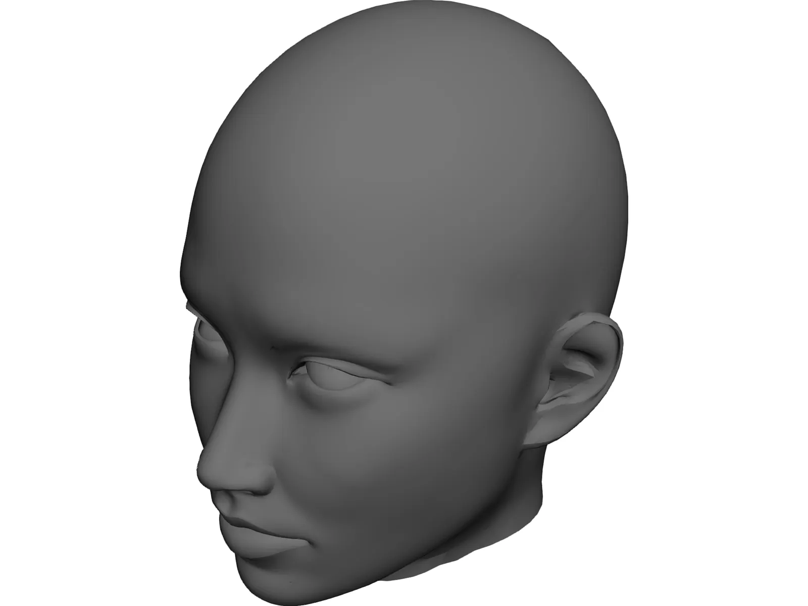 Woman Head 3D Model main preview
