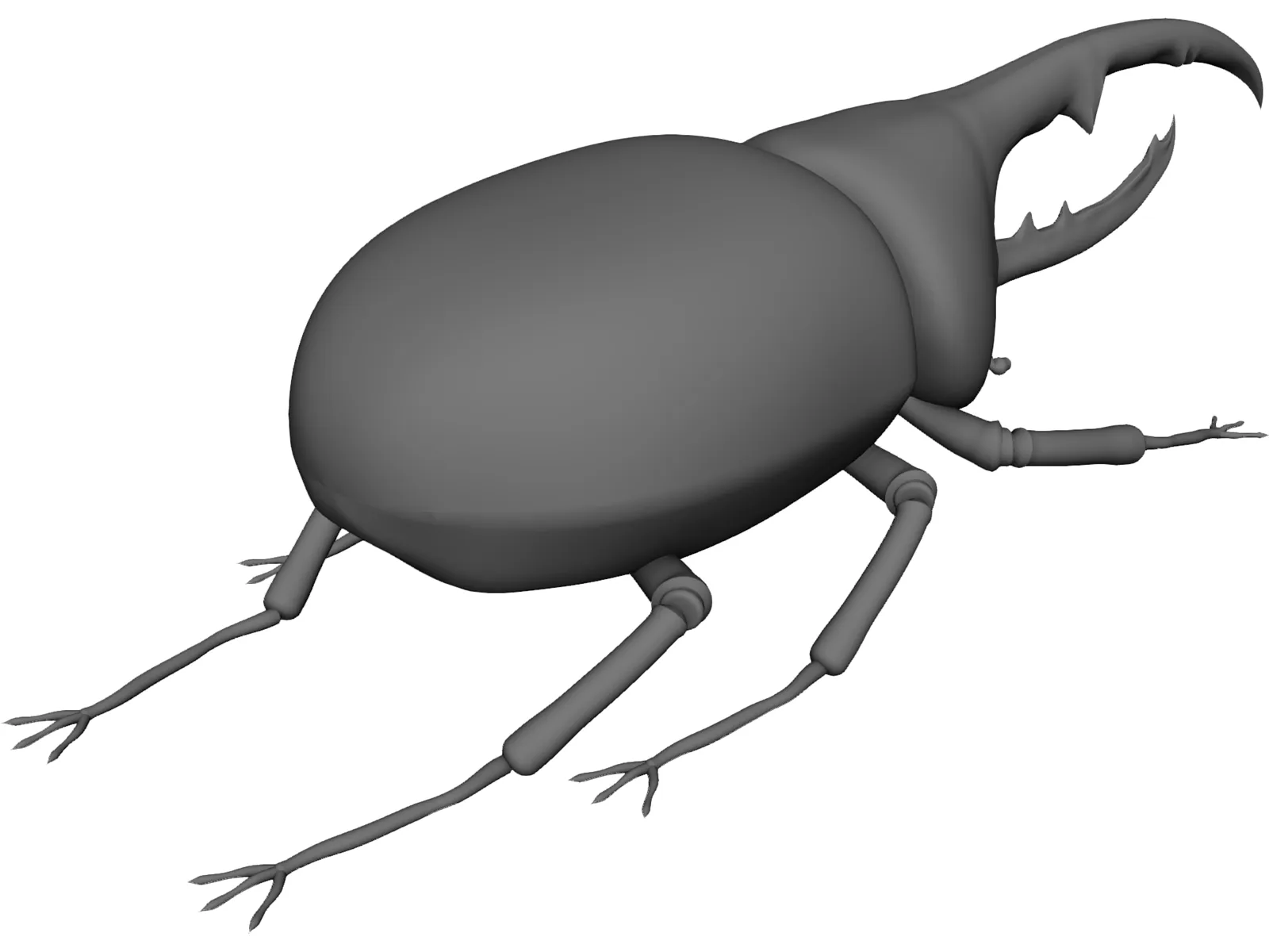 Hercules Beetle 3D Model main preview