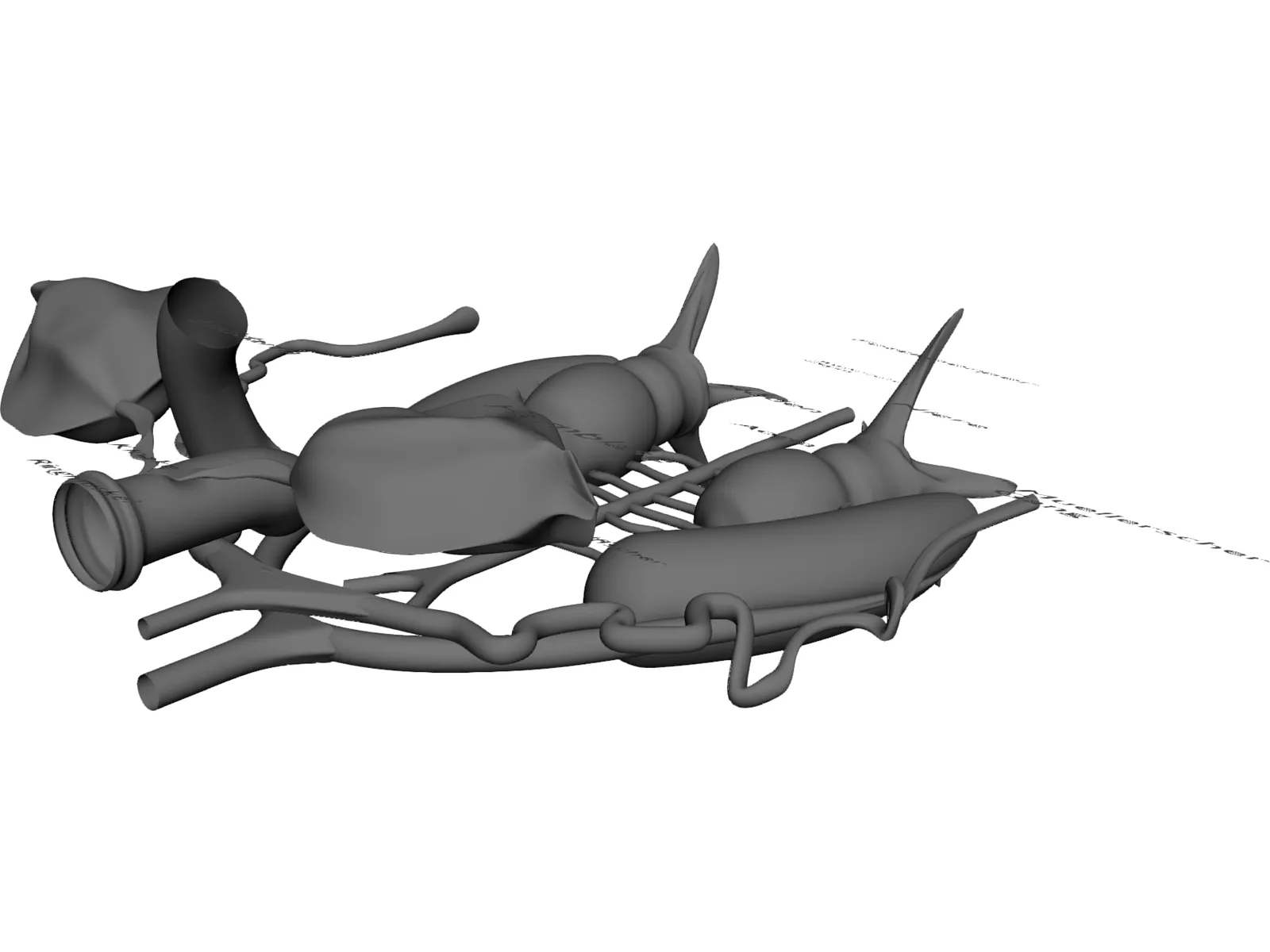 Frog Male Anatomy 3D Model main preview