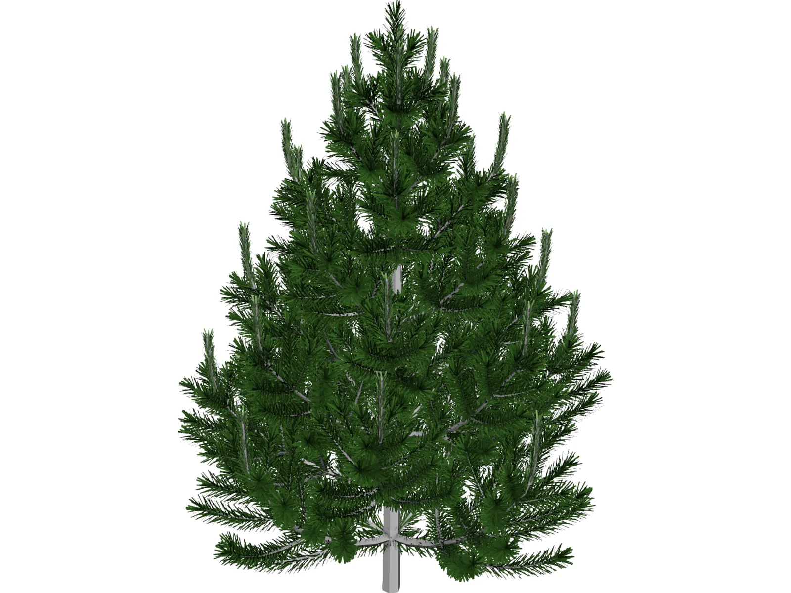 Pinito 3D Model main preview