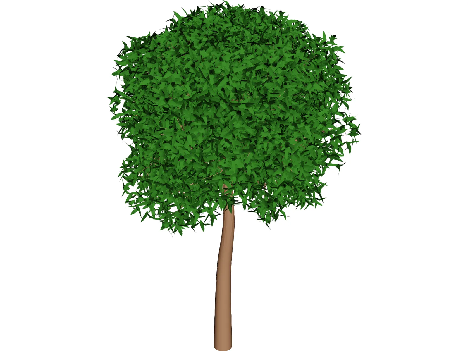 Willow 3D Model main preview