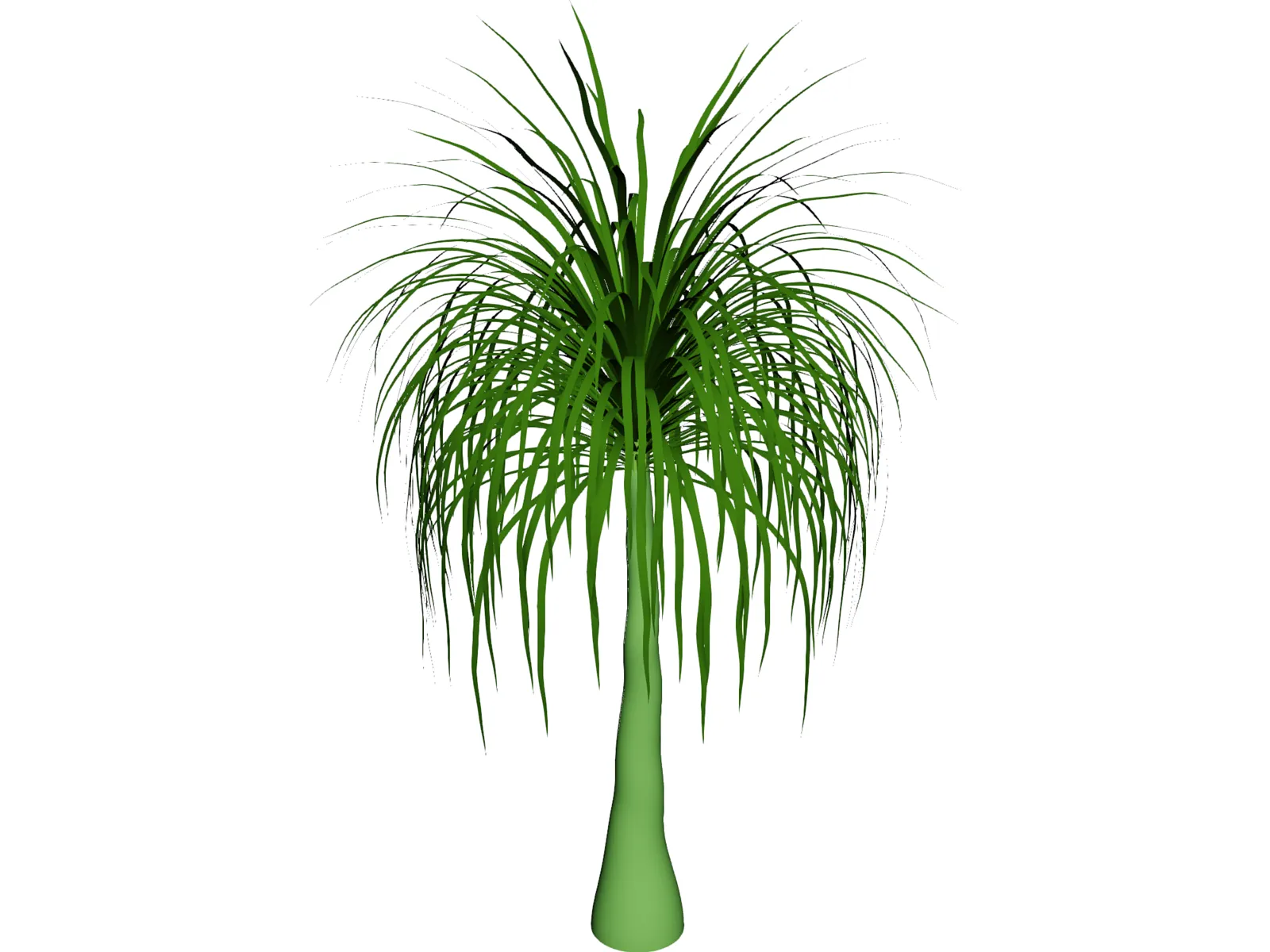 Palmera 3D Model main preview
