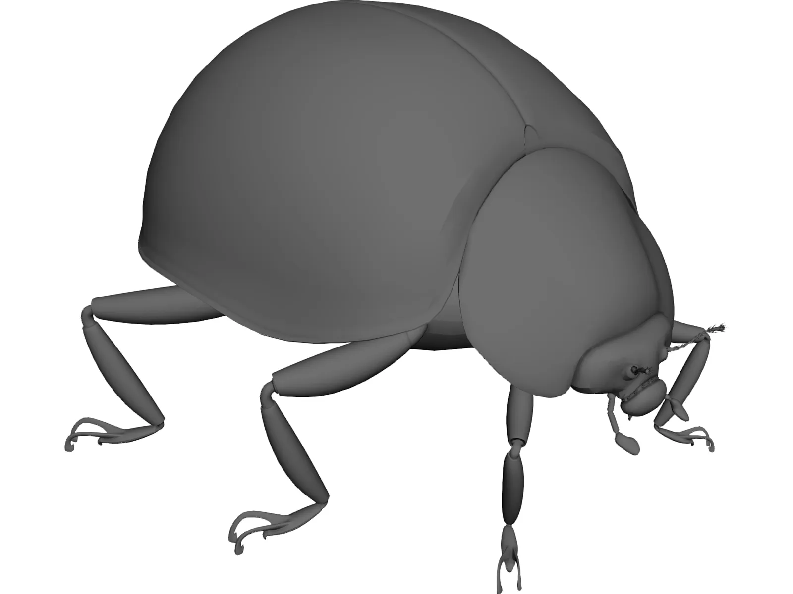 Ladybug 3D Model main preview