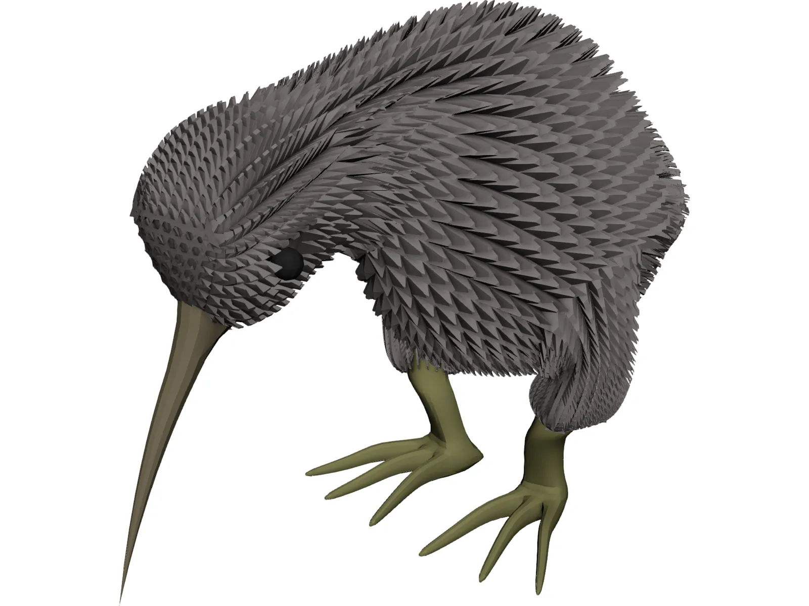 Kiwi Bird 3D Model main preview