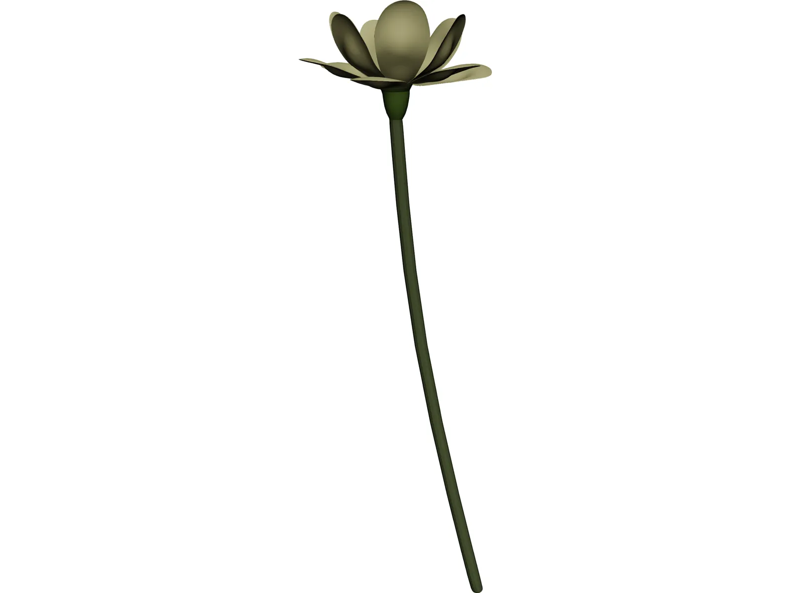 Lotus Flower (Nelumbo Lutea) 3D Model main preview